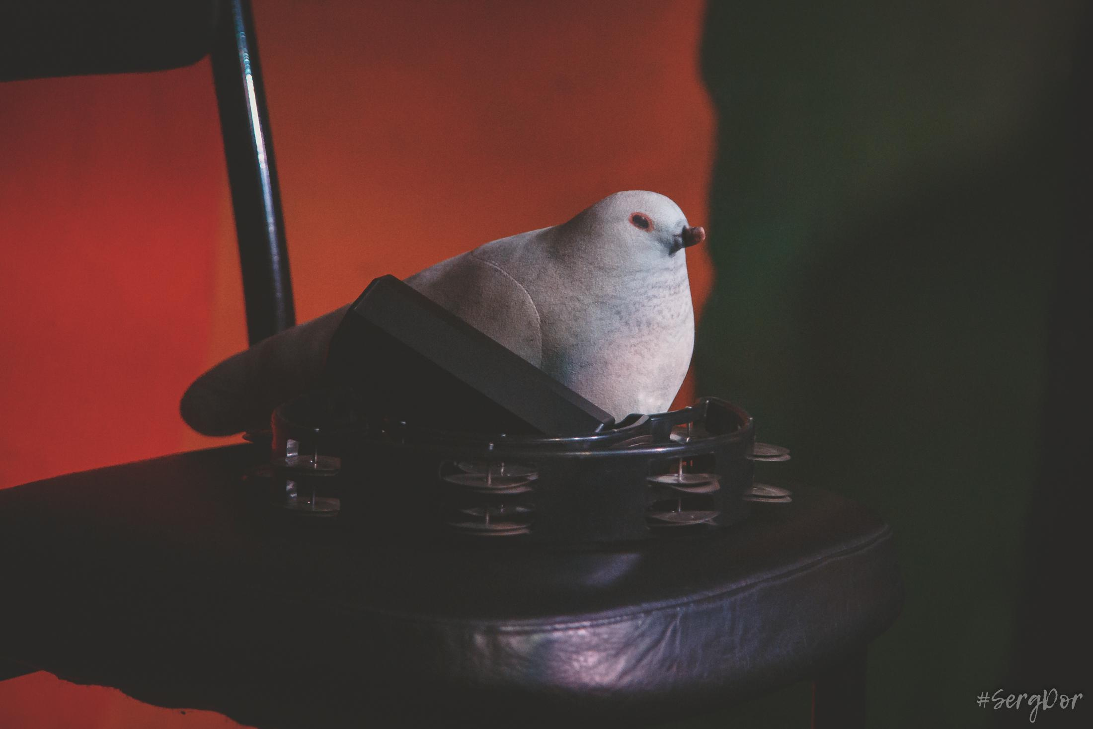 Лёва Сазонов, Dругой Ветер, акустика, клуб Ящик, Другой Ветер, чужие песни, Рейд, Наконечный, 03.04.2022, SergDor, 3 апреля 2022 года, #SergDor