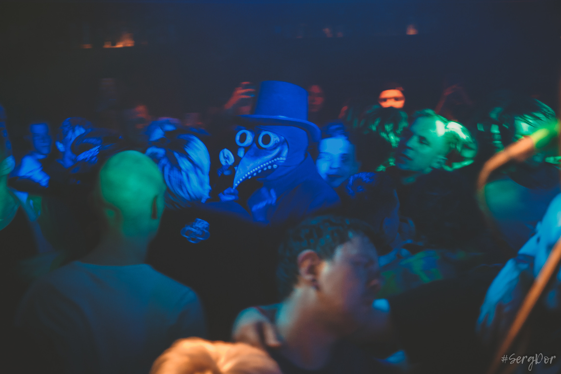 Пионерлагерь Пыльная Радуга, Собака Милле, Тверь, ППР, 01.05.2022, SergDor, 1 мая 2022 года, #SergDor