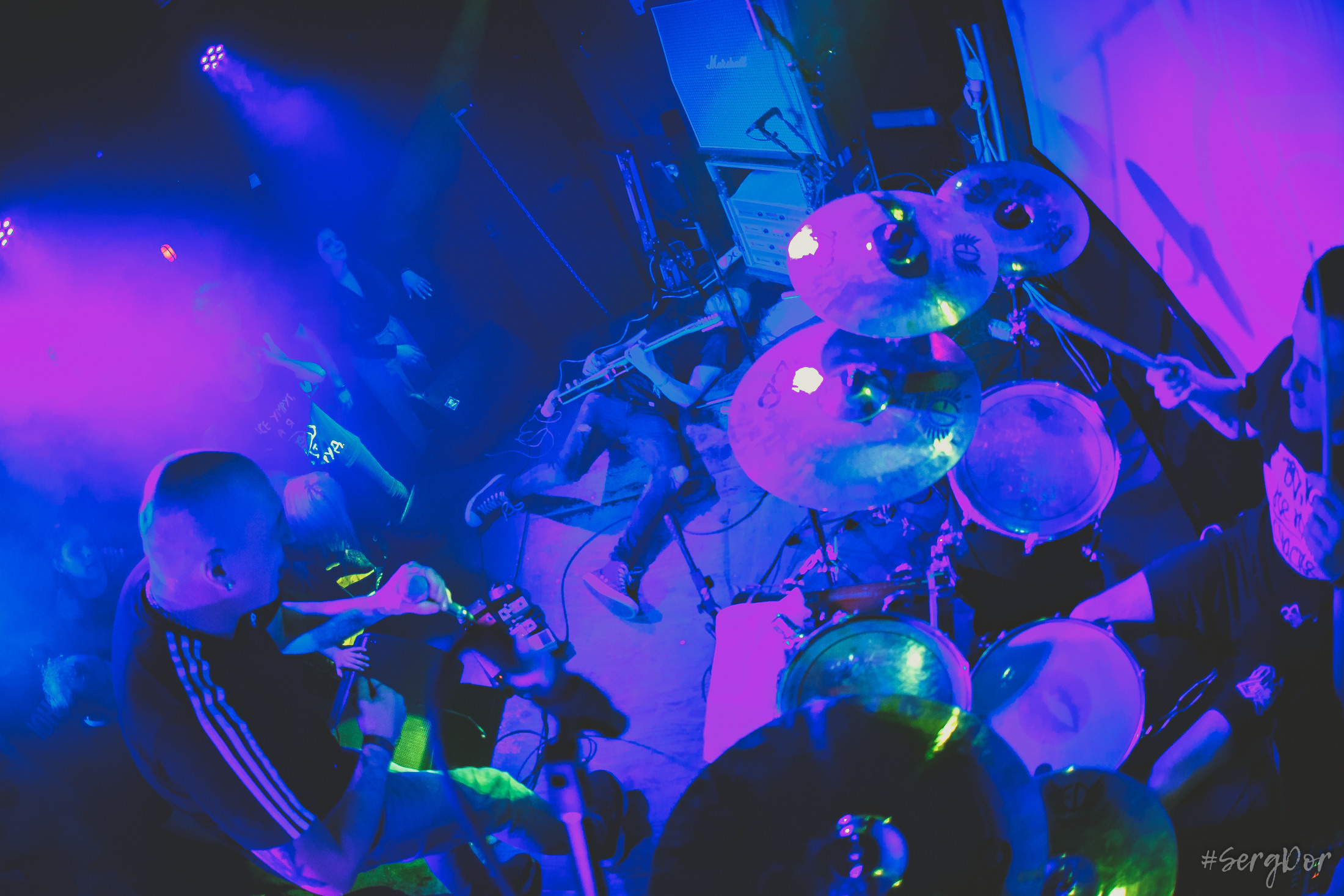 Пионерлагерь Пыльная Радуга, Собака Милле, Тверь, ППР, 01.05.2022, SergDor, 1 мая 2022 года, #SergDor