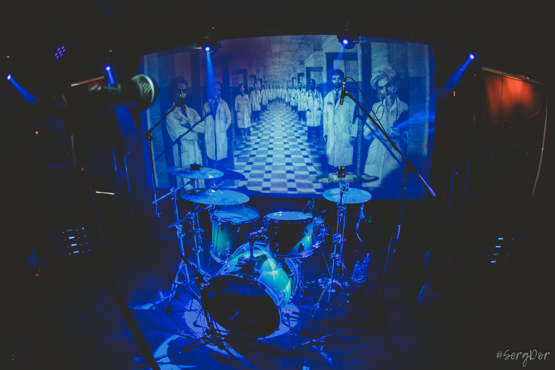 Пионерлагерь Пыльная Радуга, Собака Милле, Тверь, ППР, 01.05.2022, SergDor, 1 мая 2022 года, #SergDor