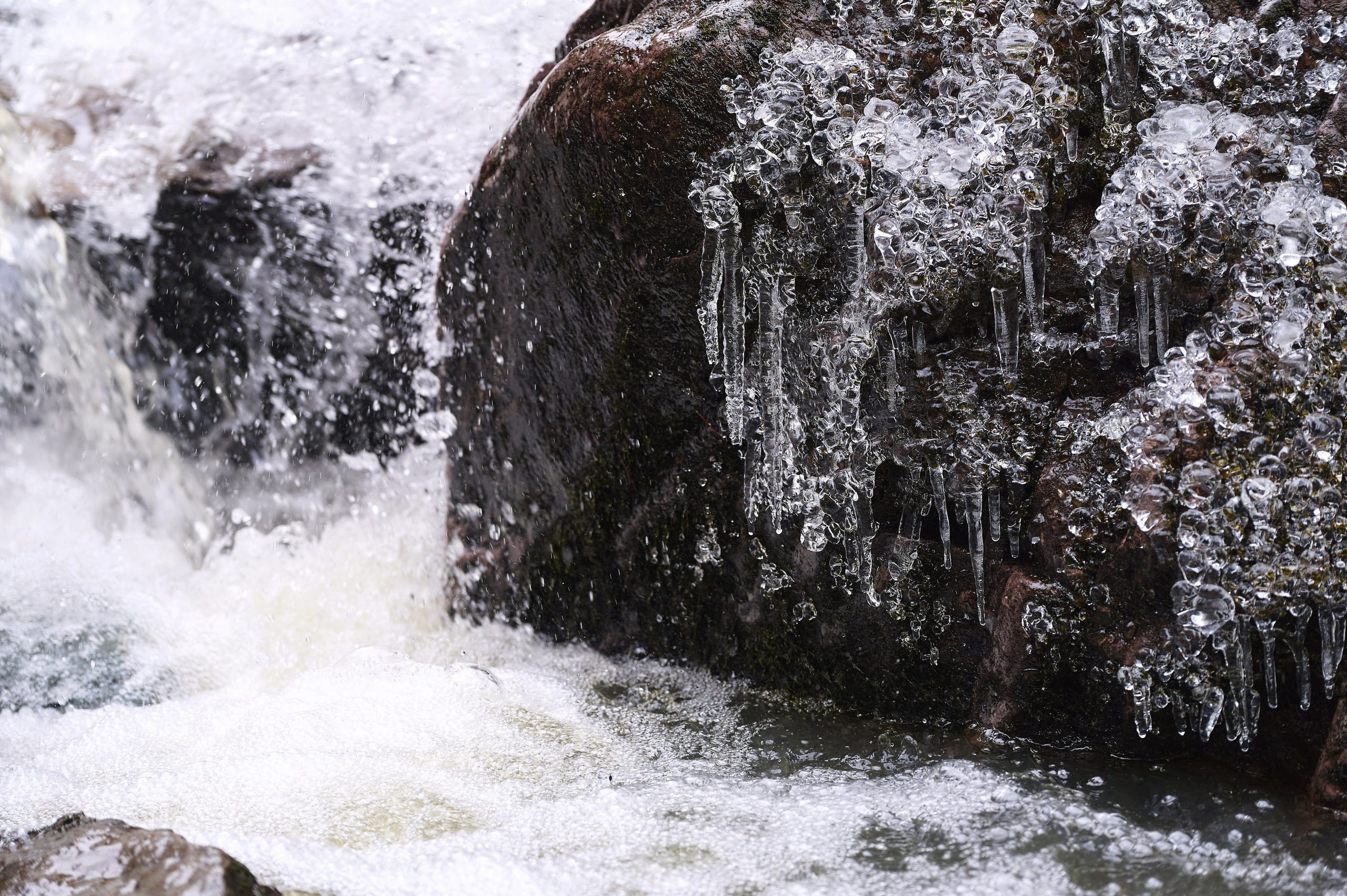 Антон и Наталья. Фотограф Опыт Качество Скорость Горный Алтай Барнаул