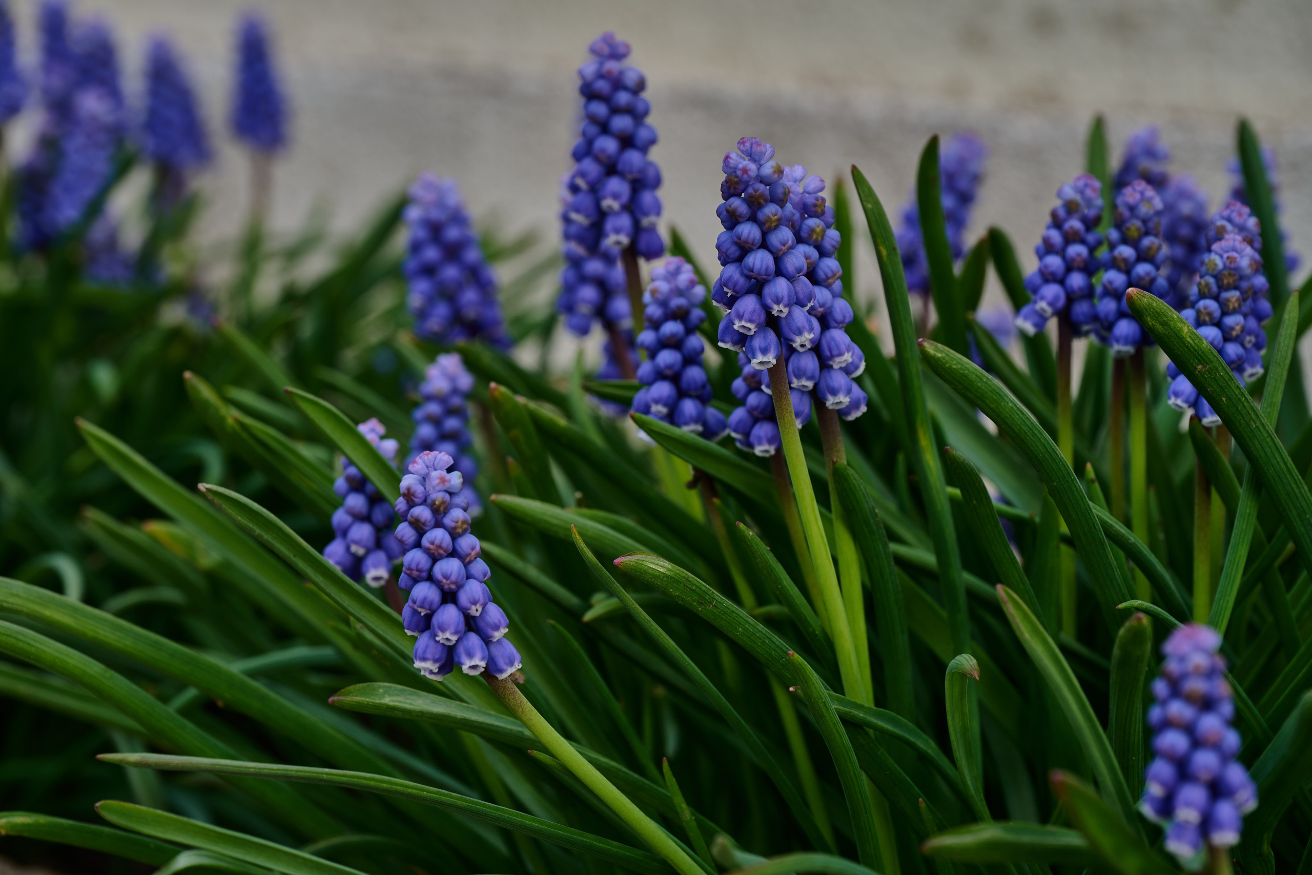 Мелитополь. Фотопроект «Территории»