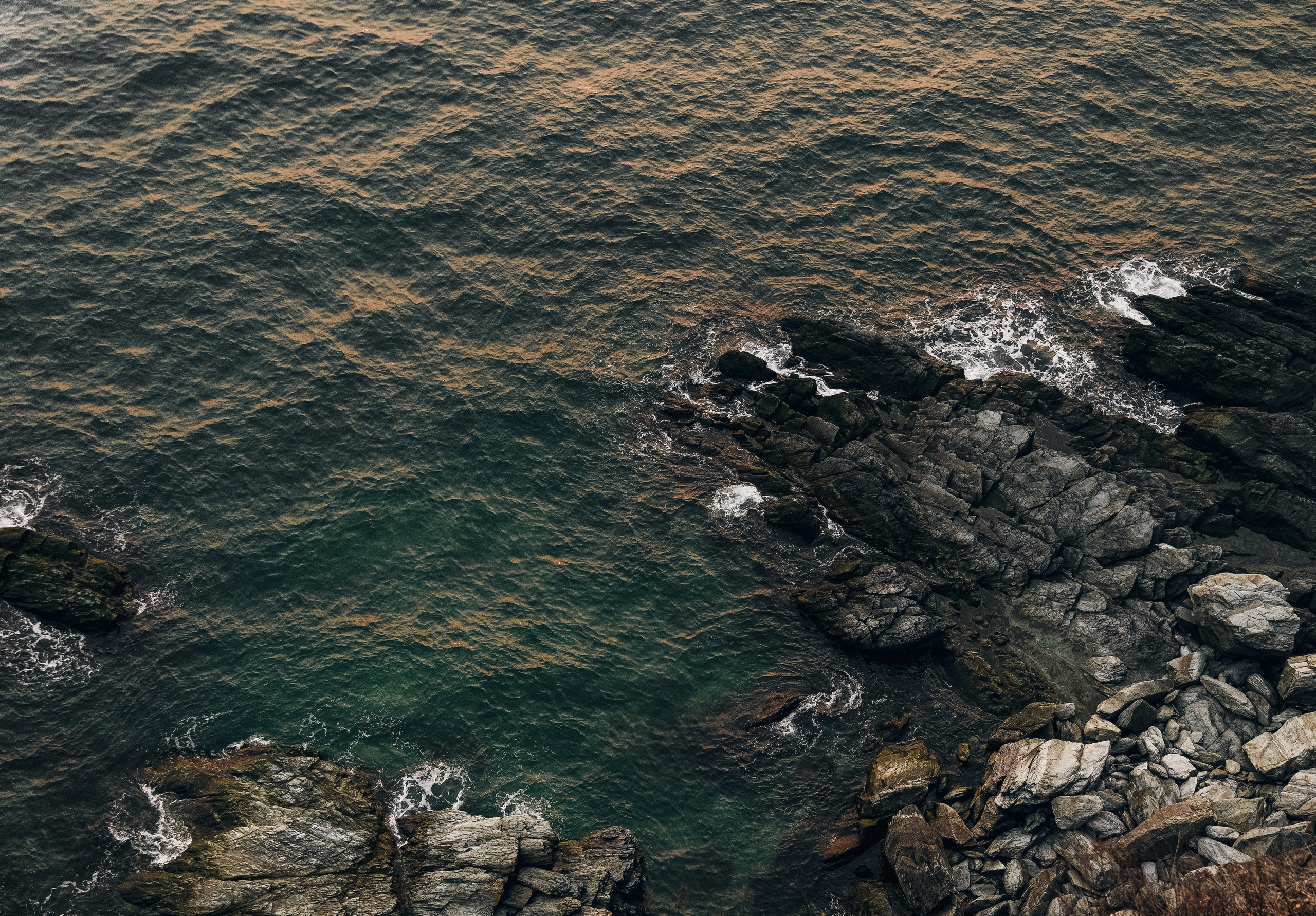 Анастасия и Евгений. Семейный фотограф анималист г. Находка