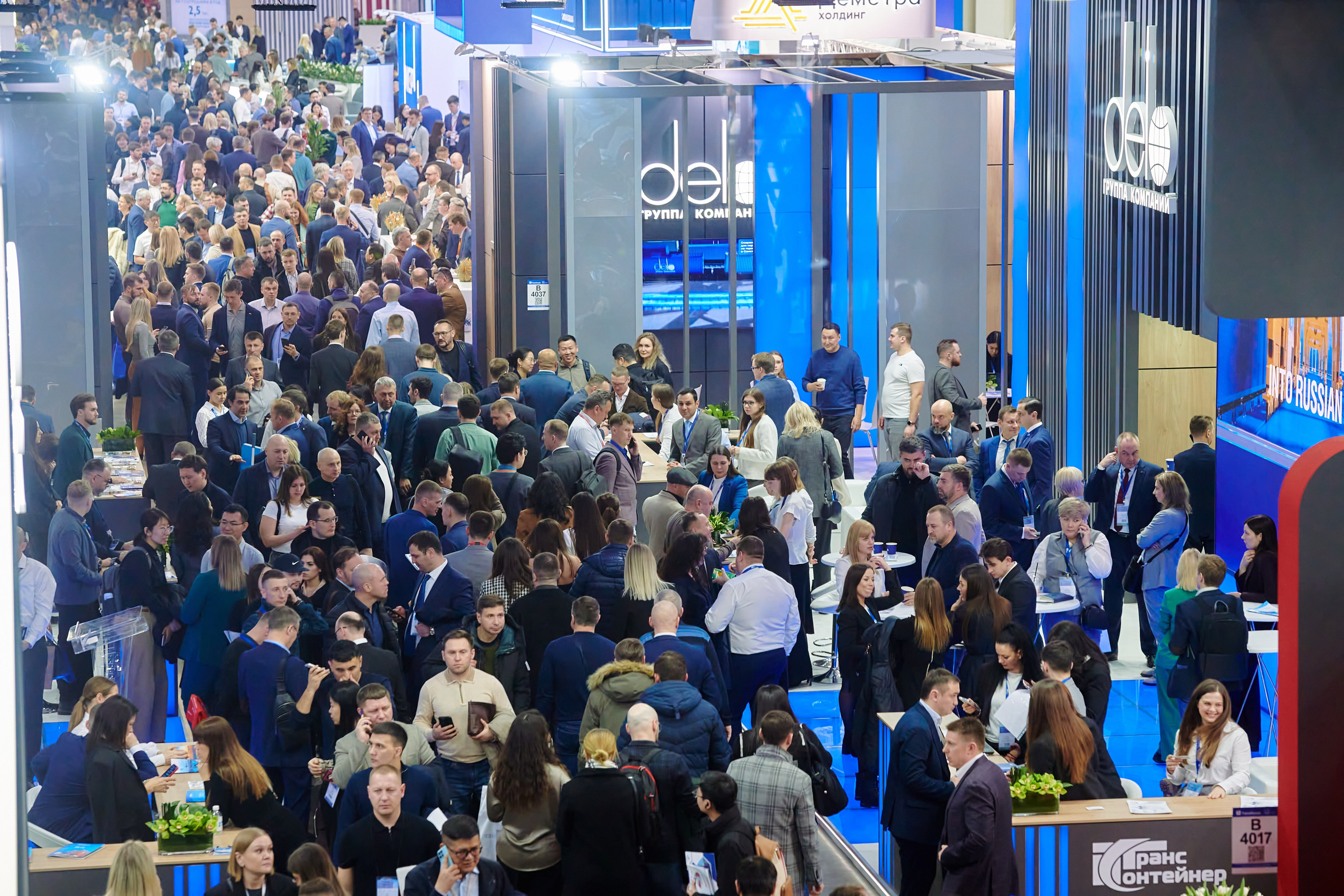 Выставки. Solofilms