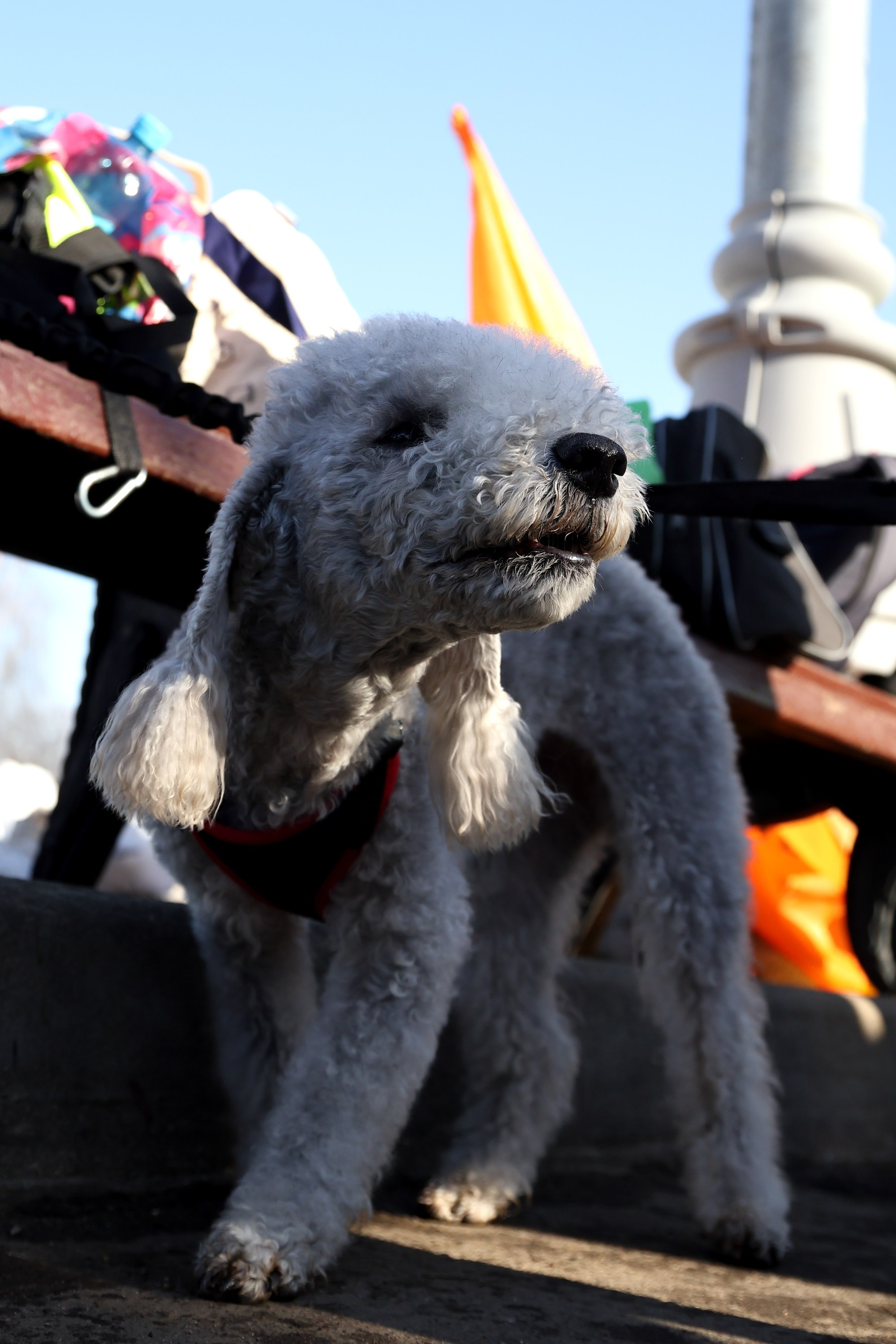 5 Верст. Коломенское (#203). Спортивный и репортажный фотограф Ермакова Светлана