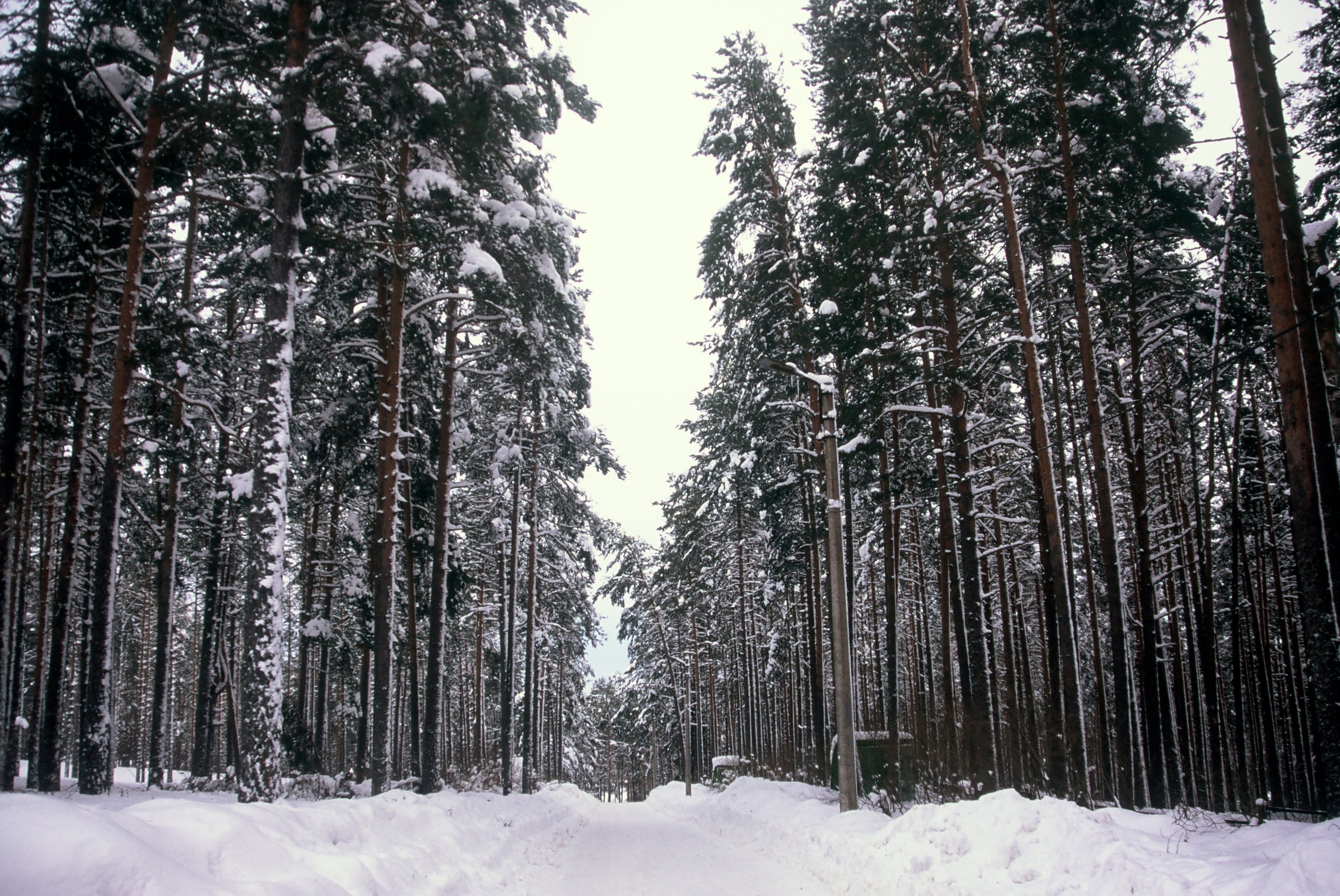 Film. Ruslan UI Dev Page