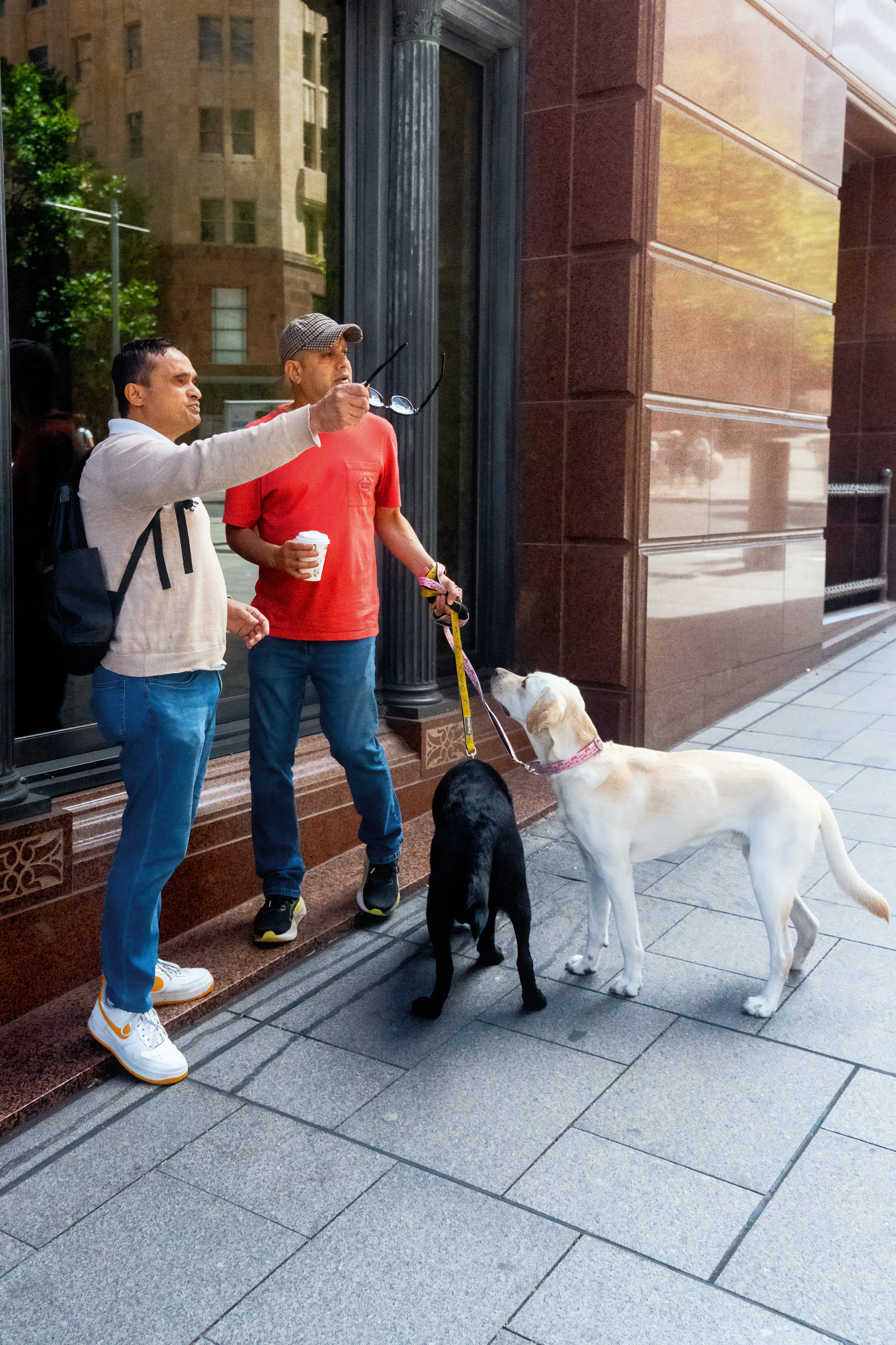 Австралия. Фотограф в Хабаровске. Фотография за 24 часа