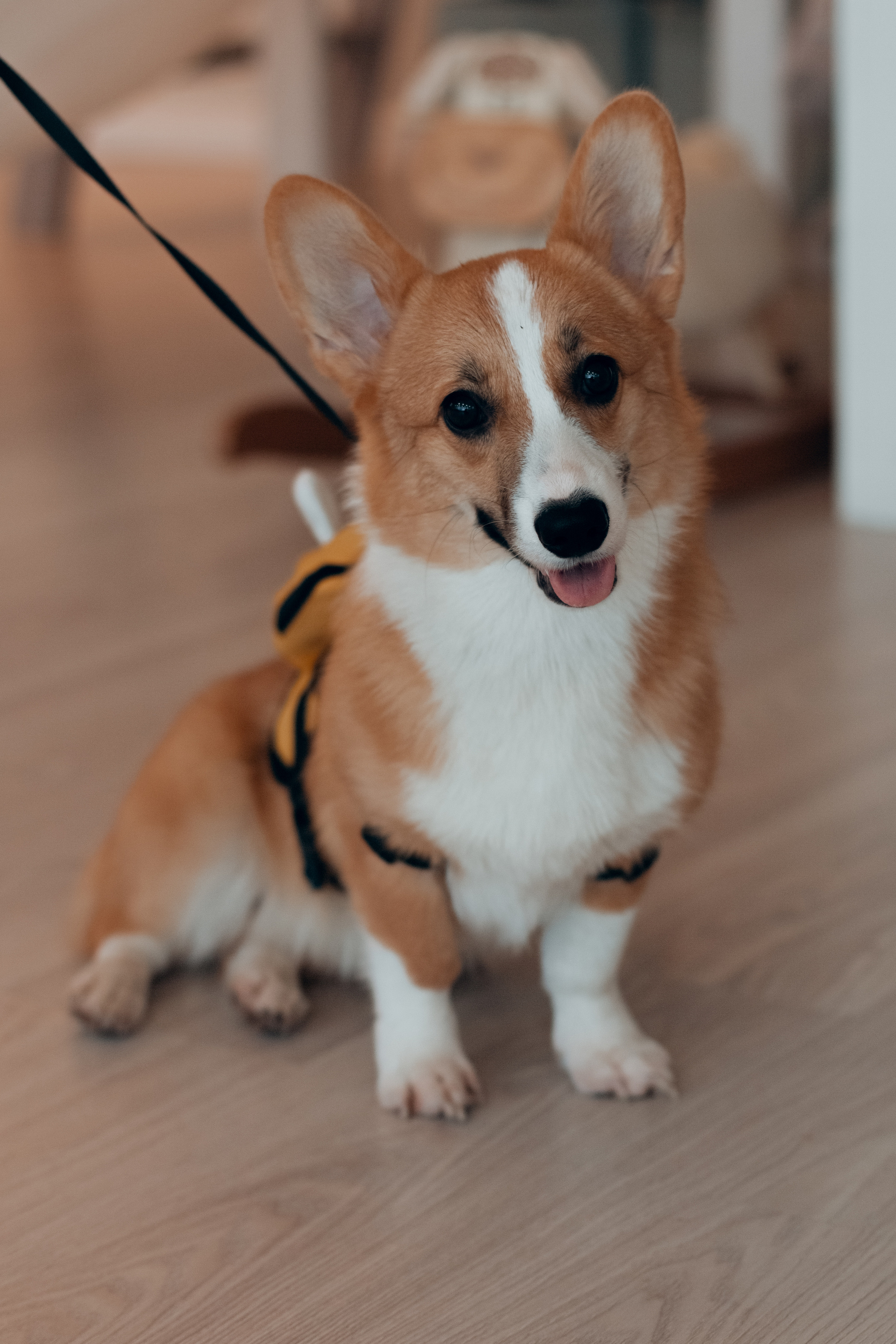 Виктор + Олеся. Фотограф Адель Ястребова