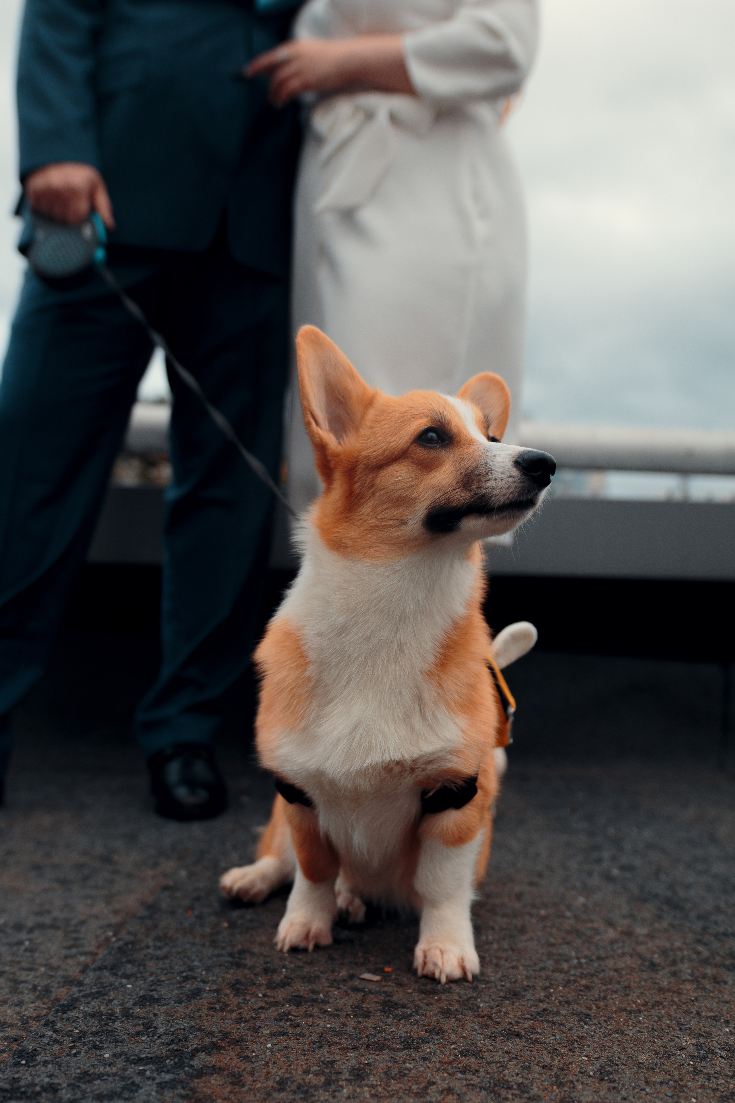 Виктор + Олеся. Фотограф Адель Ястребова