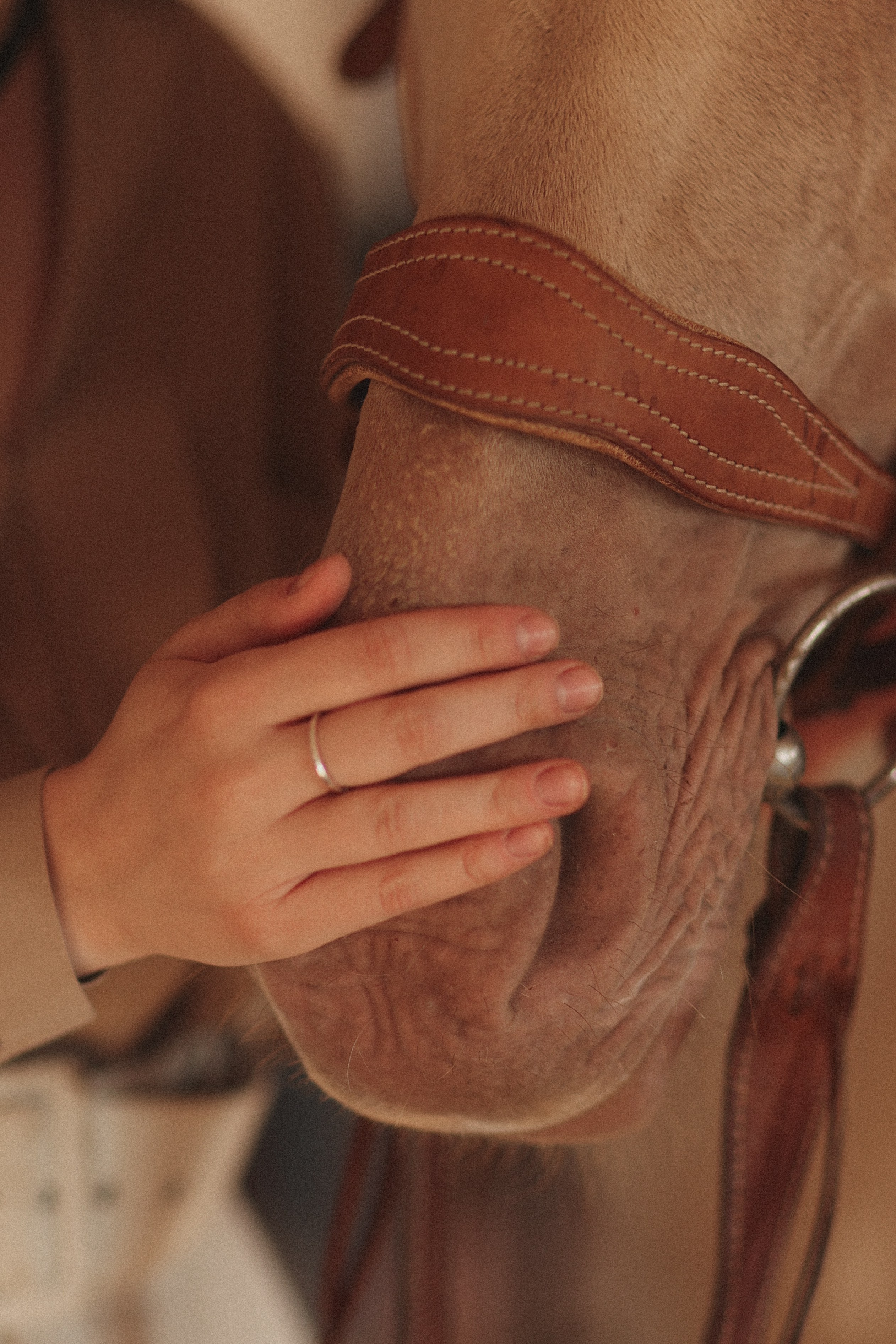 Ксения. Детский и семейный фотограф, съемка новорожденных Москва