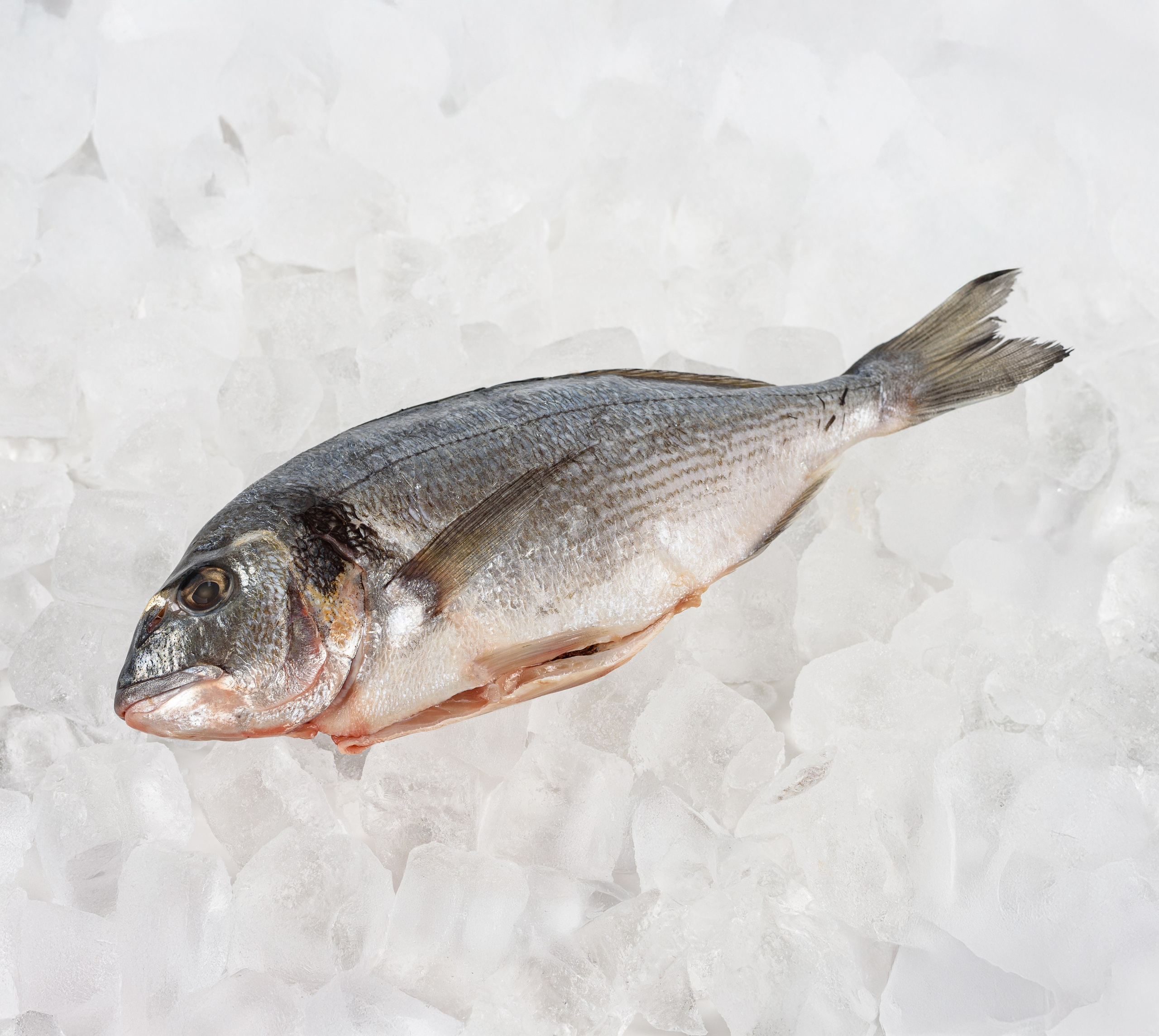 Съемка для брендов. Фуд и предметный фотограф Москва