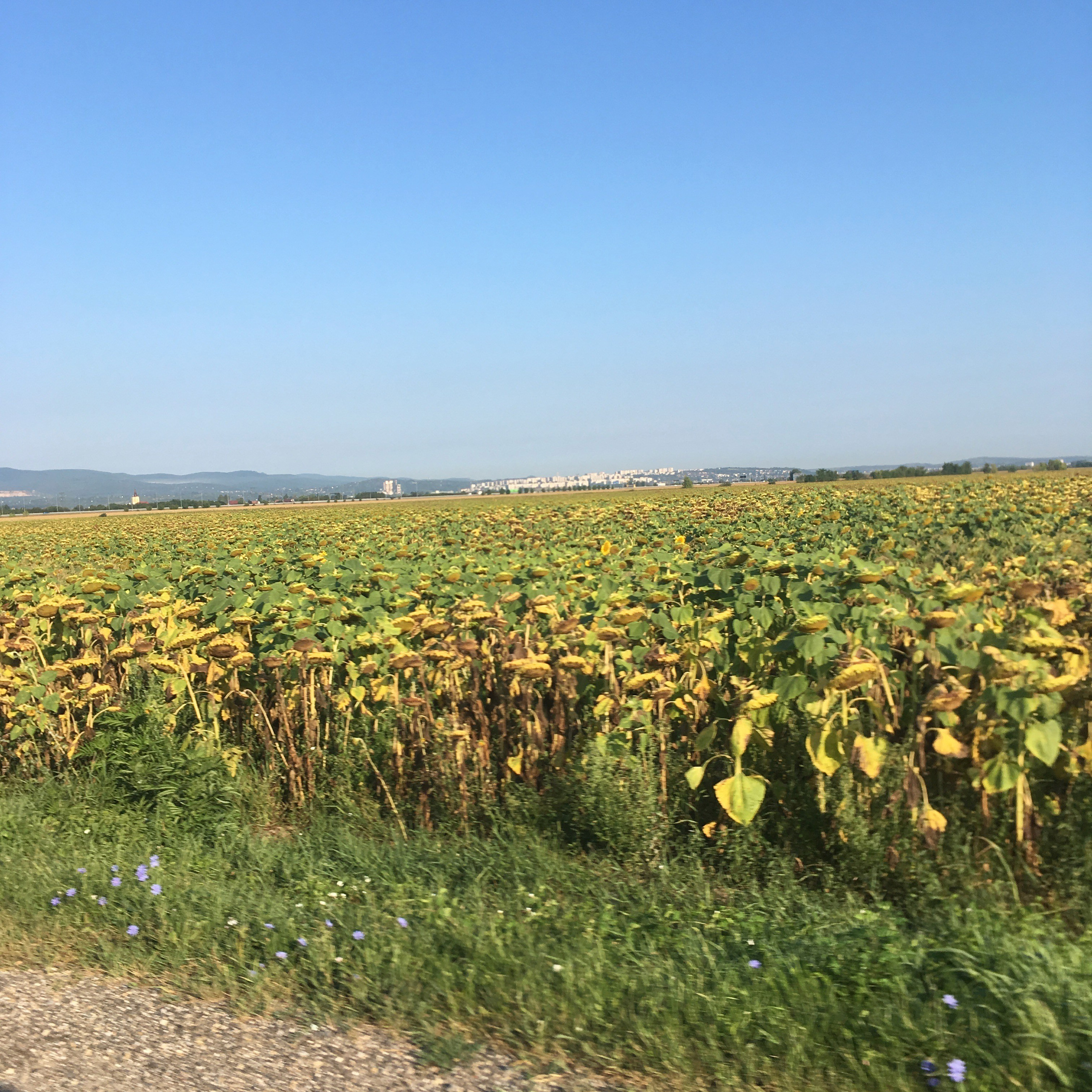 Трансфагараш -18. Своя Мастерская