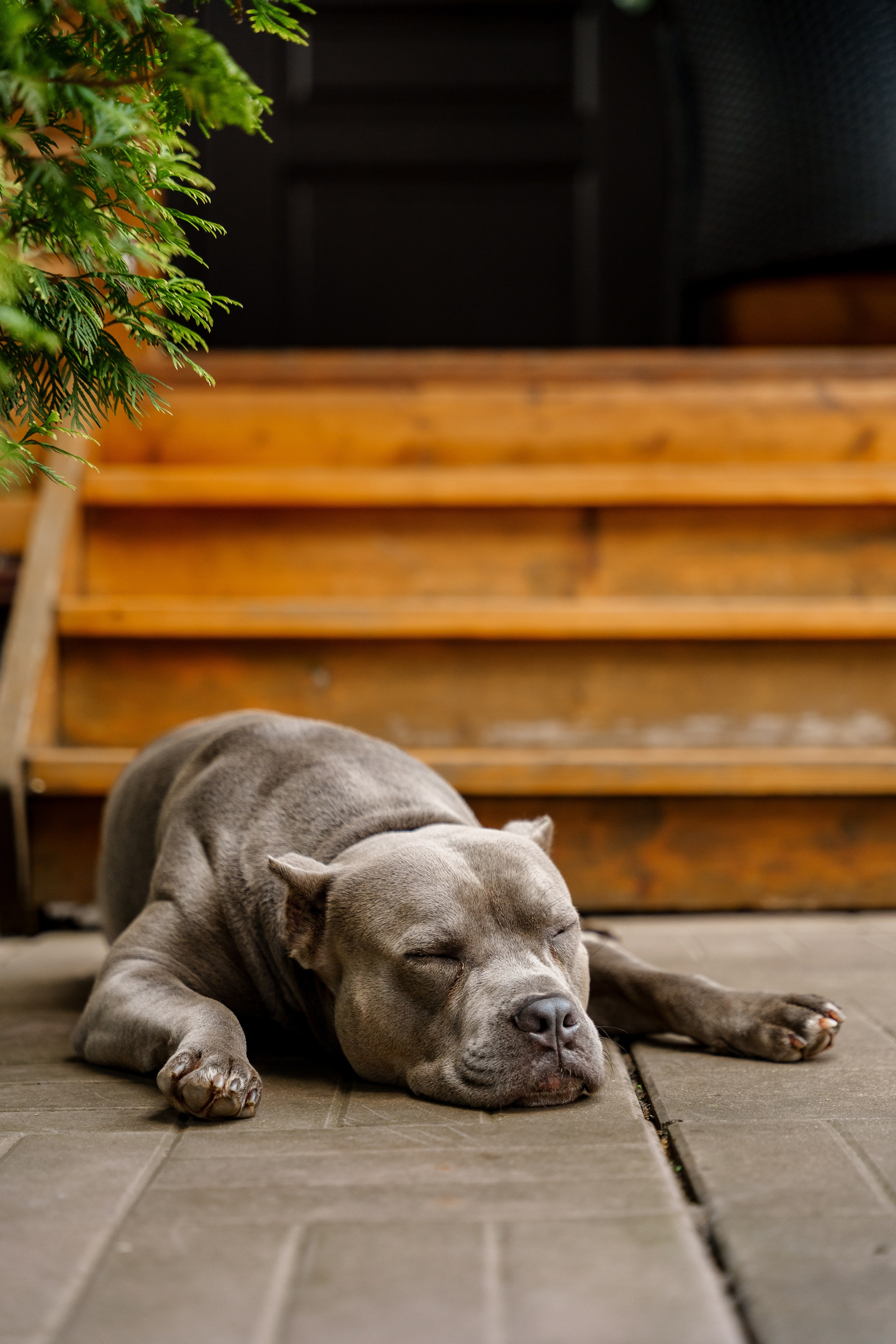Ева 1 год. Станислав Тюрин Фотограф Москва. Индивидуальные и семейные фотосессии;