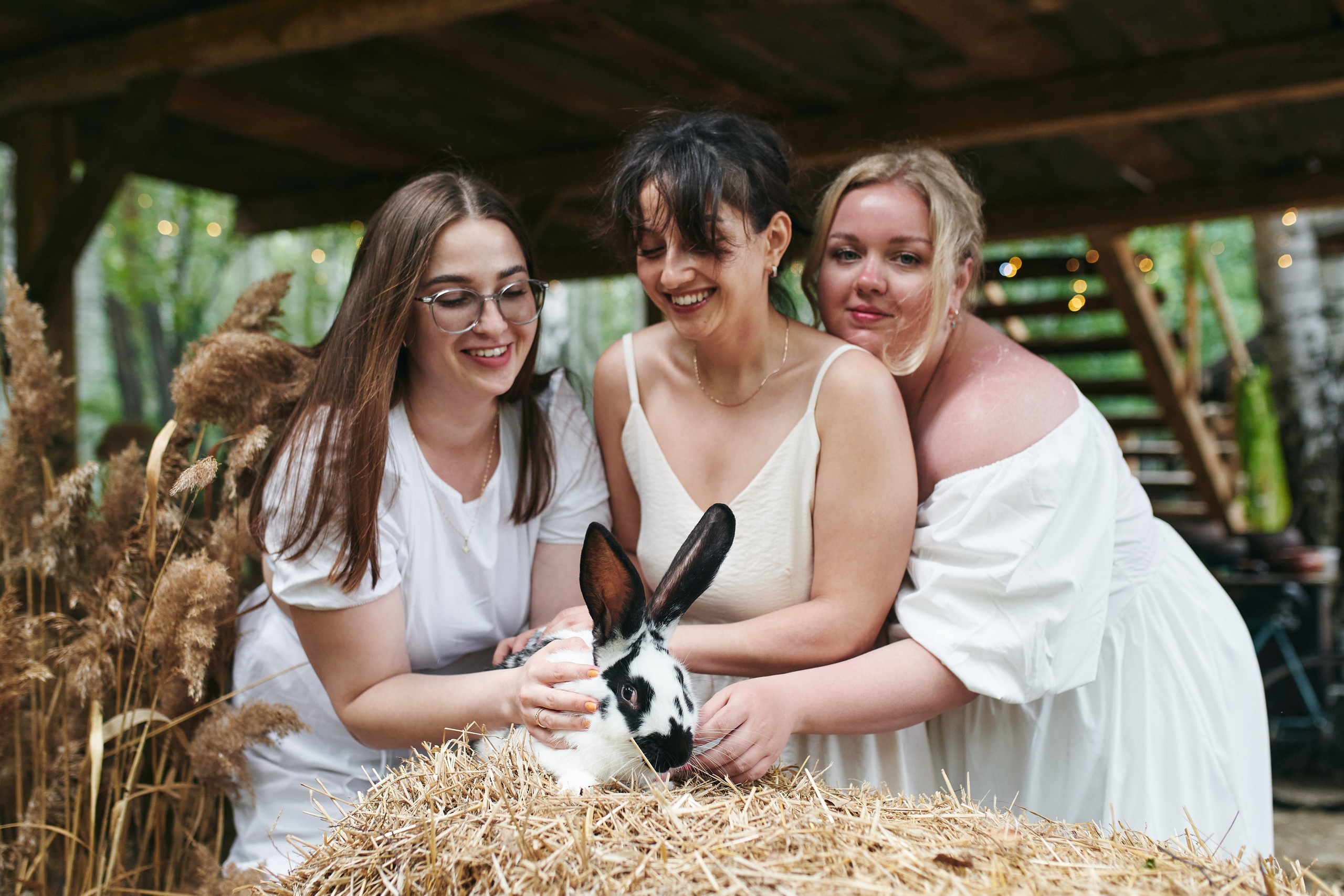 В зачарованном саду. Фотограф Слава Кайгородов