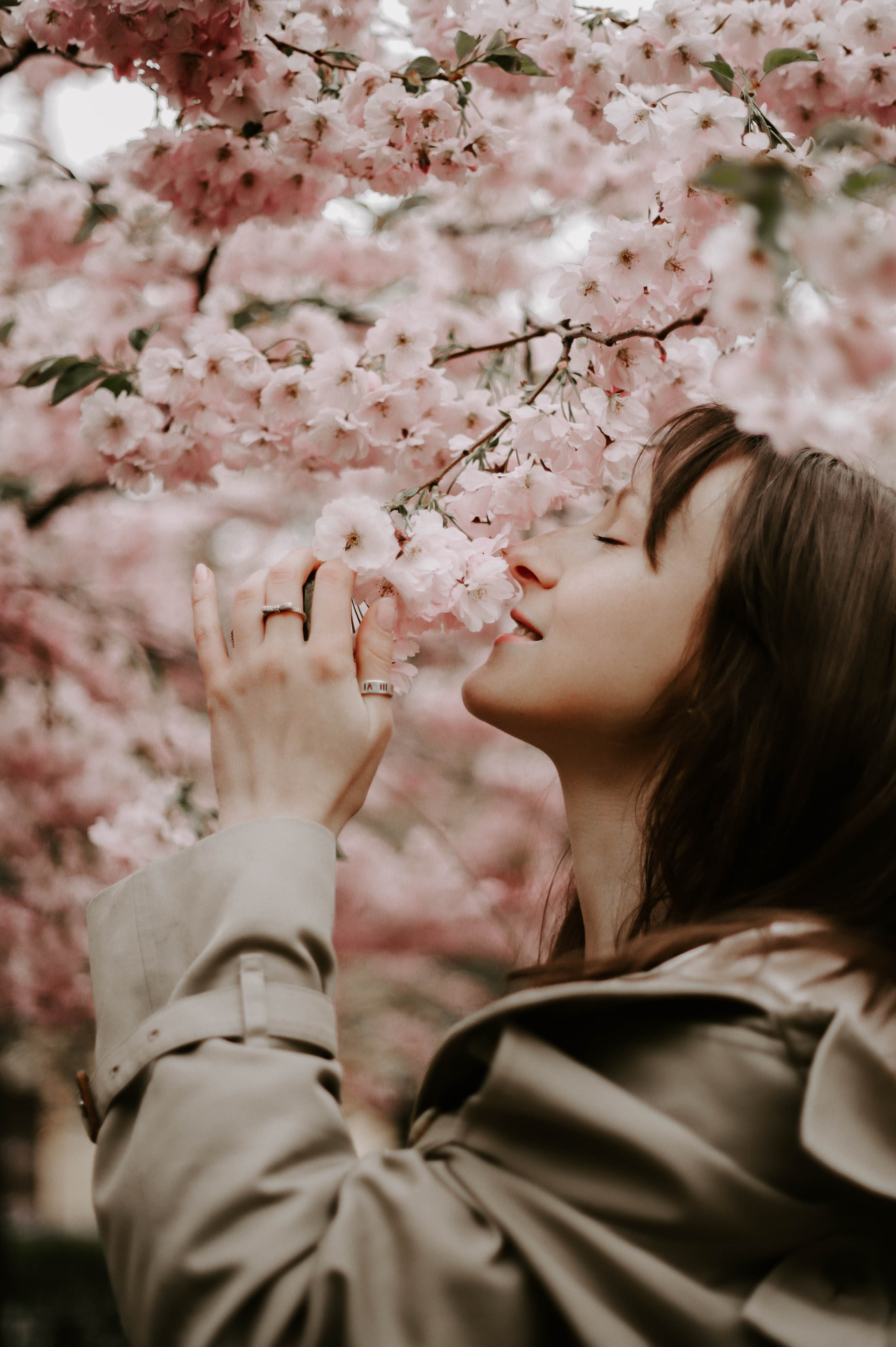 Анастасия. Фотограф Veronika Potaseva