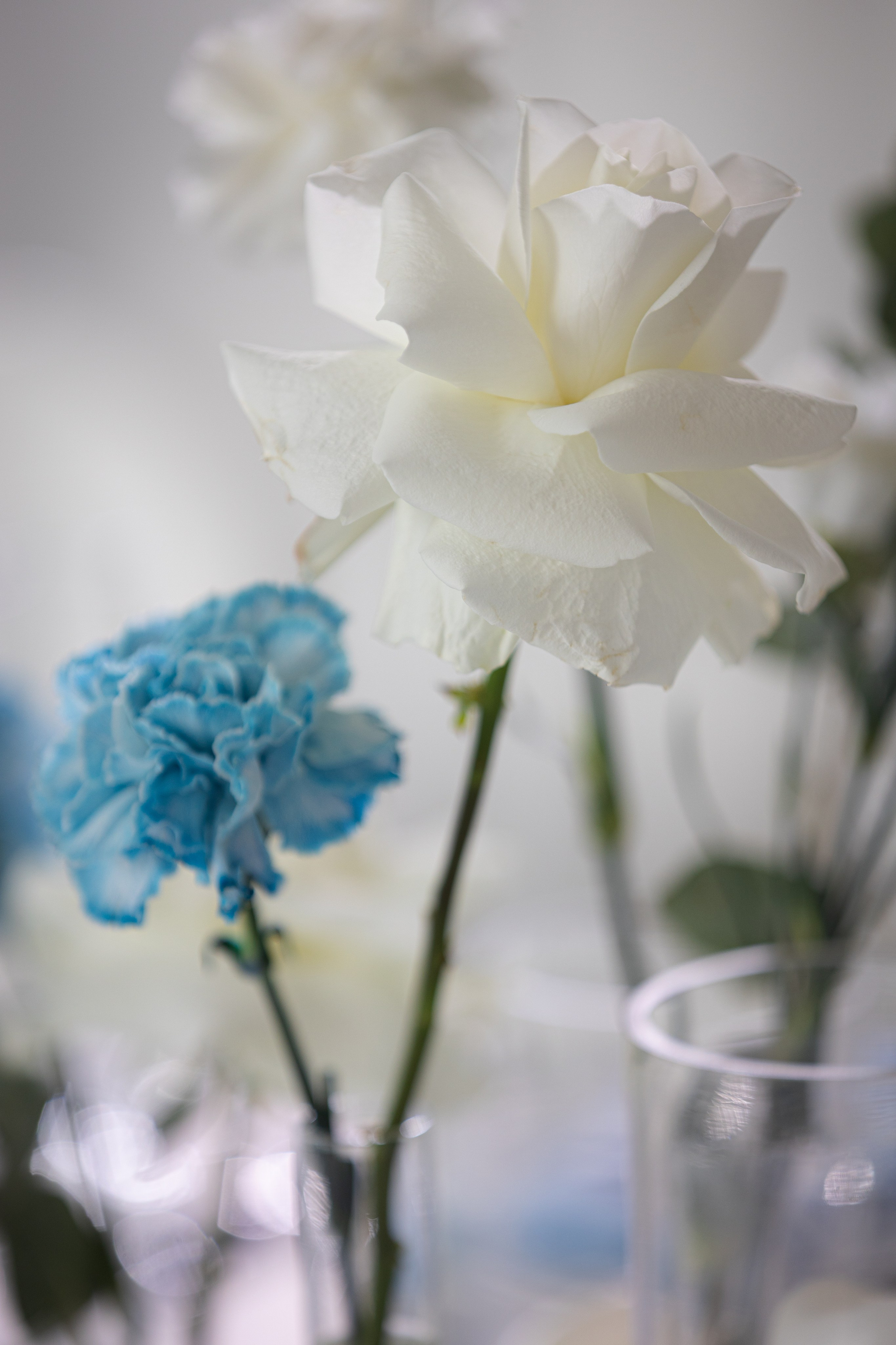 Дмитрий и Валерия. Ваш фотограф — Александра Андрущенко