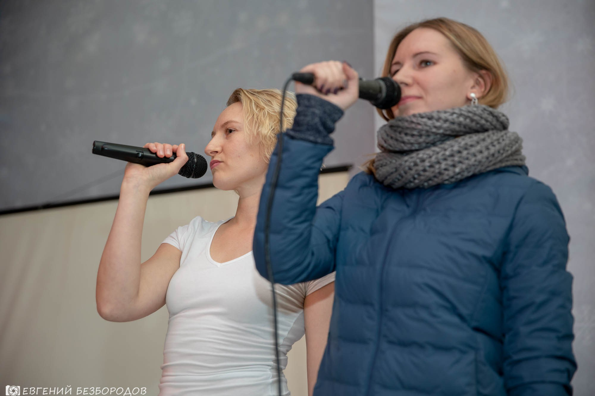 ФВН 2018. Софрино |17-18.11.2018. Галерея Фантим