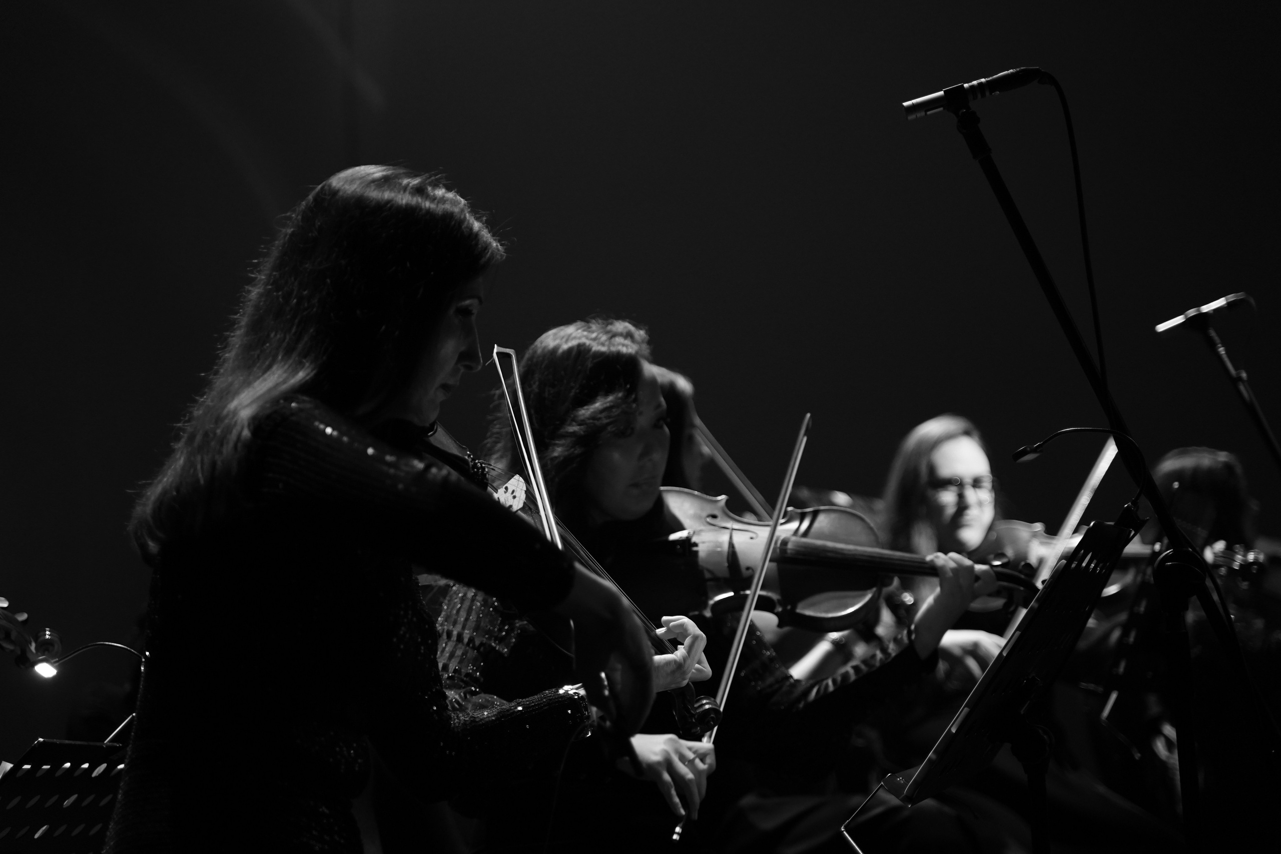 TODA is back. Katyavasileva