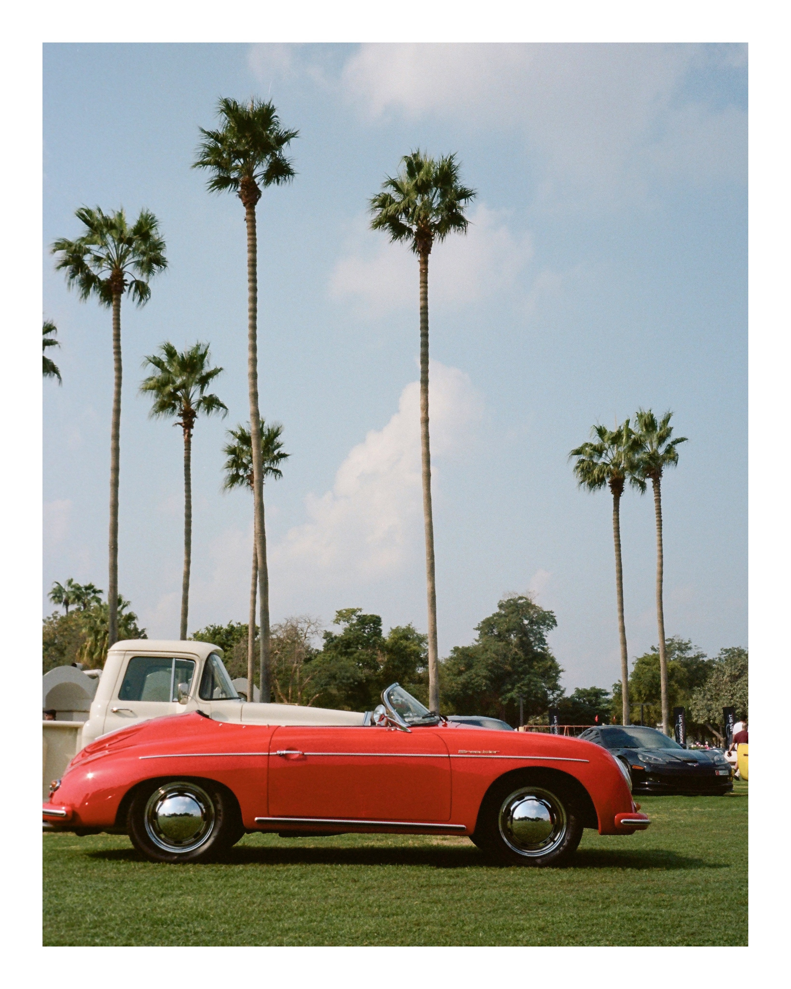 The Grand Picnic (35мм). Katyavasileva