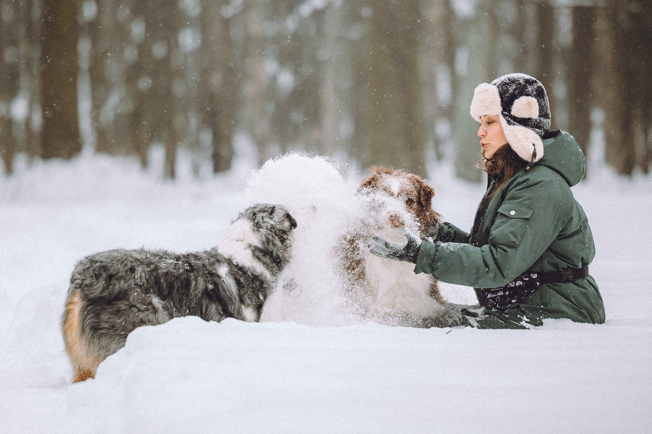 Лена, Принц и Фенек
