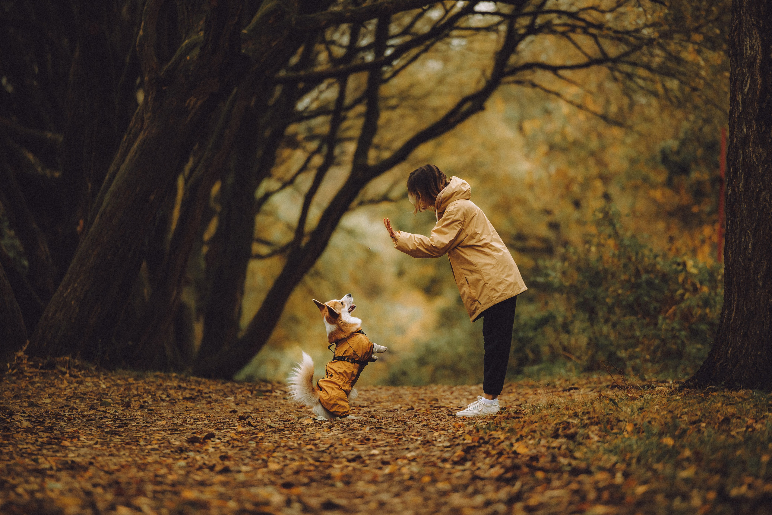 Вирджик и его семья