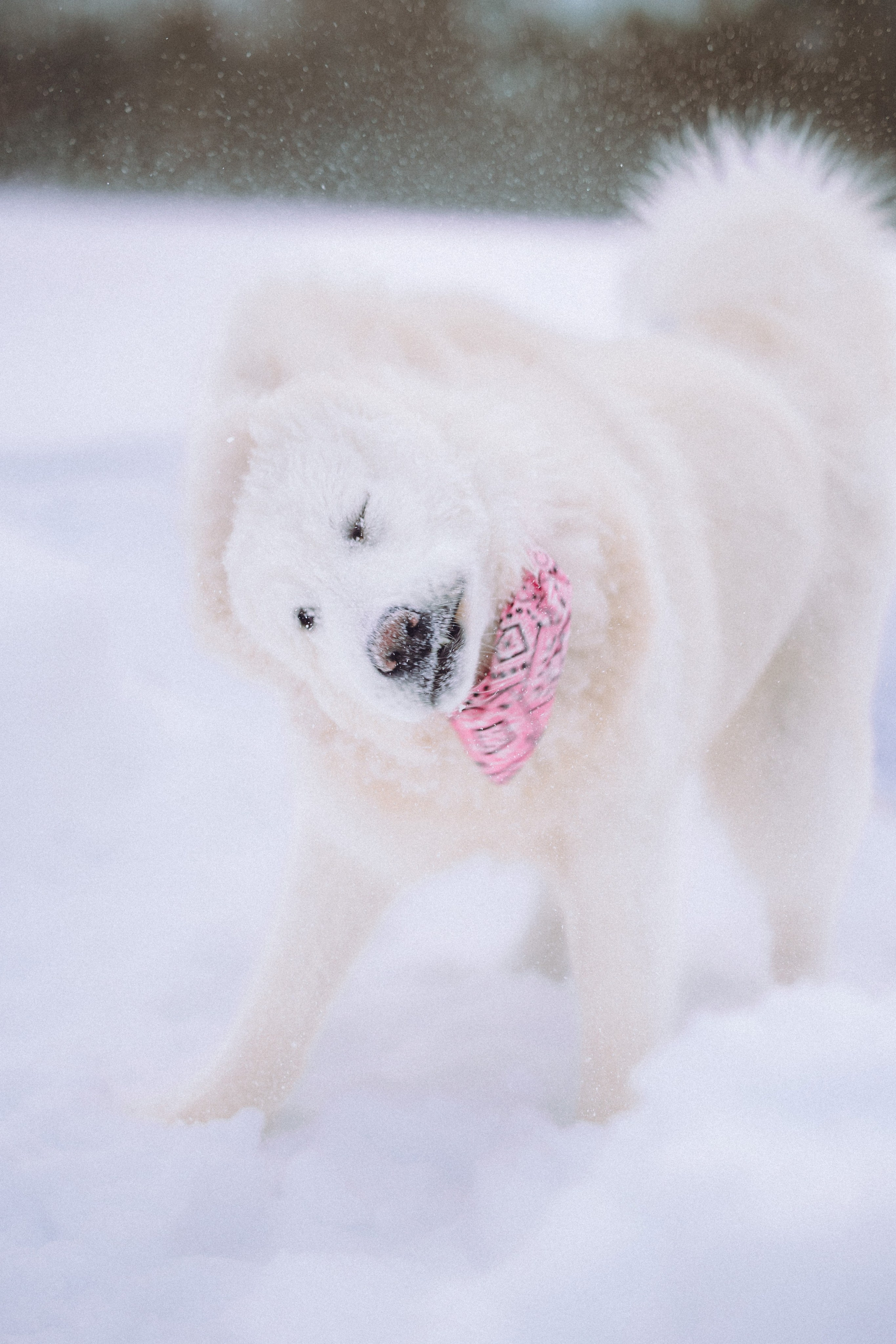 Мария и Мася