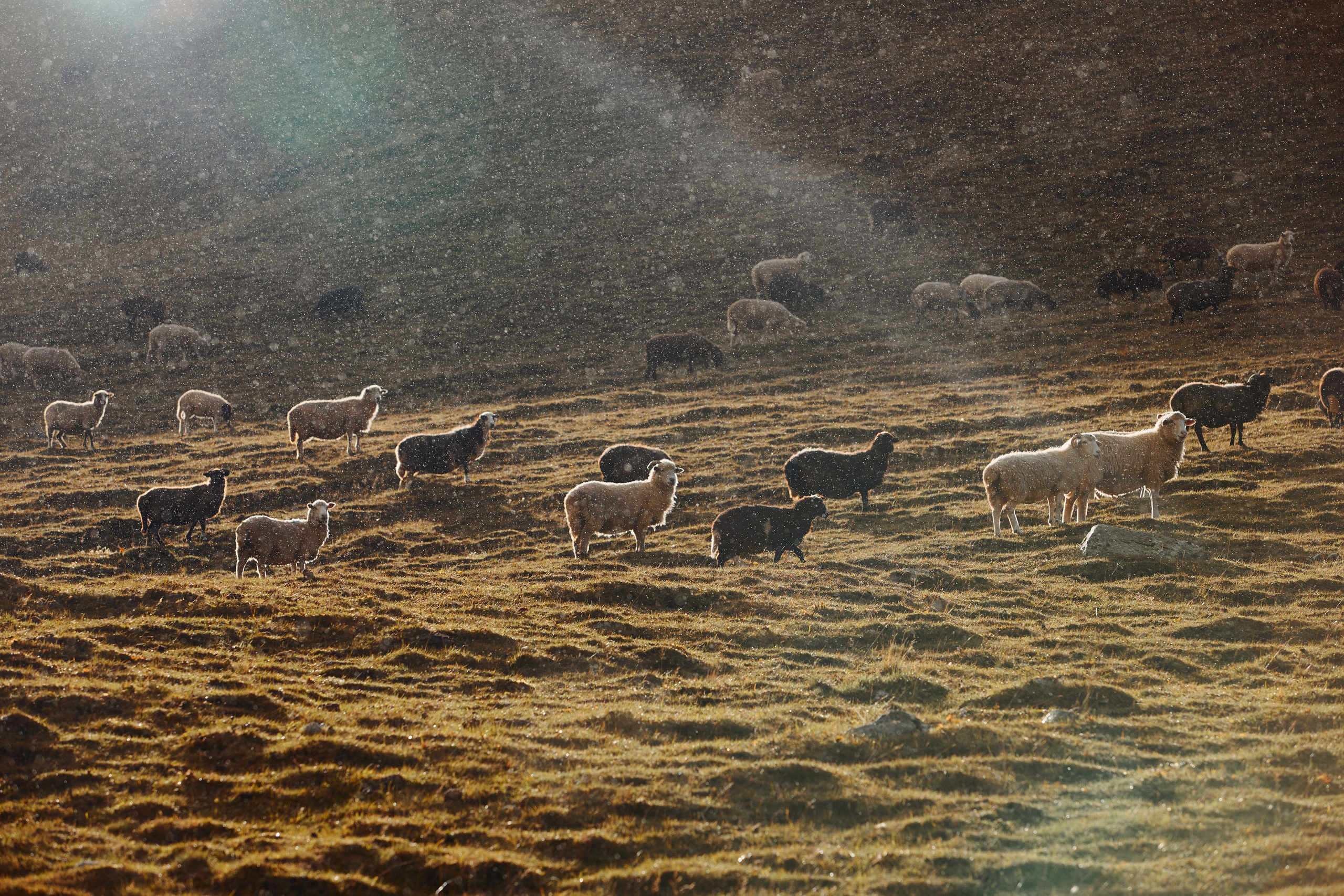 Озеро Гийбашкель. Фотограф Продюсер в горах КБР / Москва  Нальчик Горы