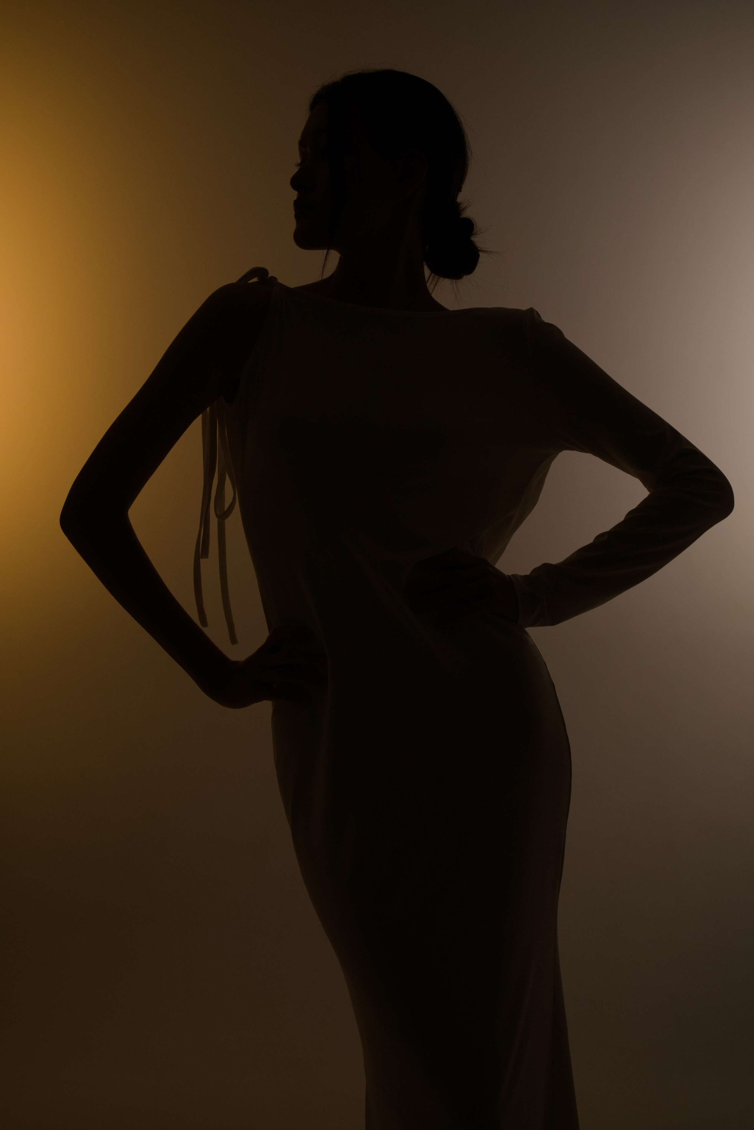 Силуэт цвет с постоянным светом. Мир глазами Саши Д