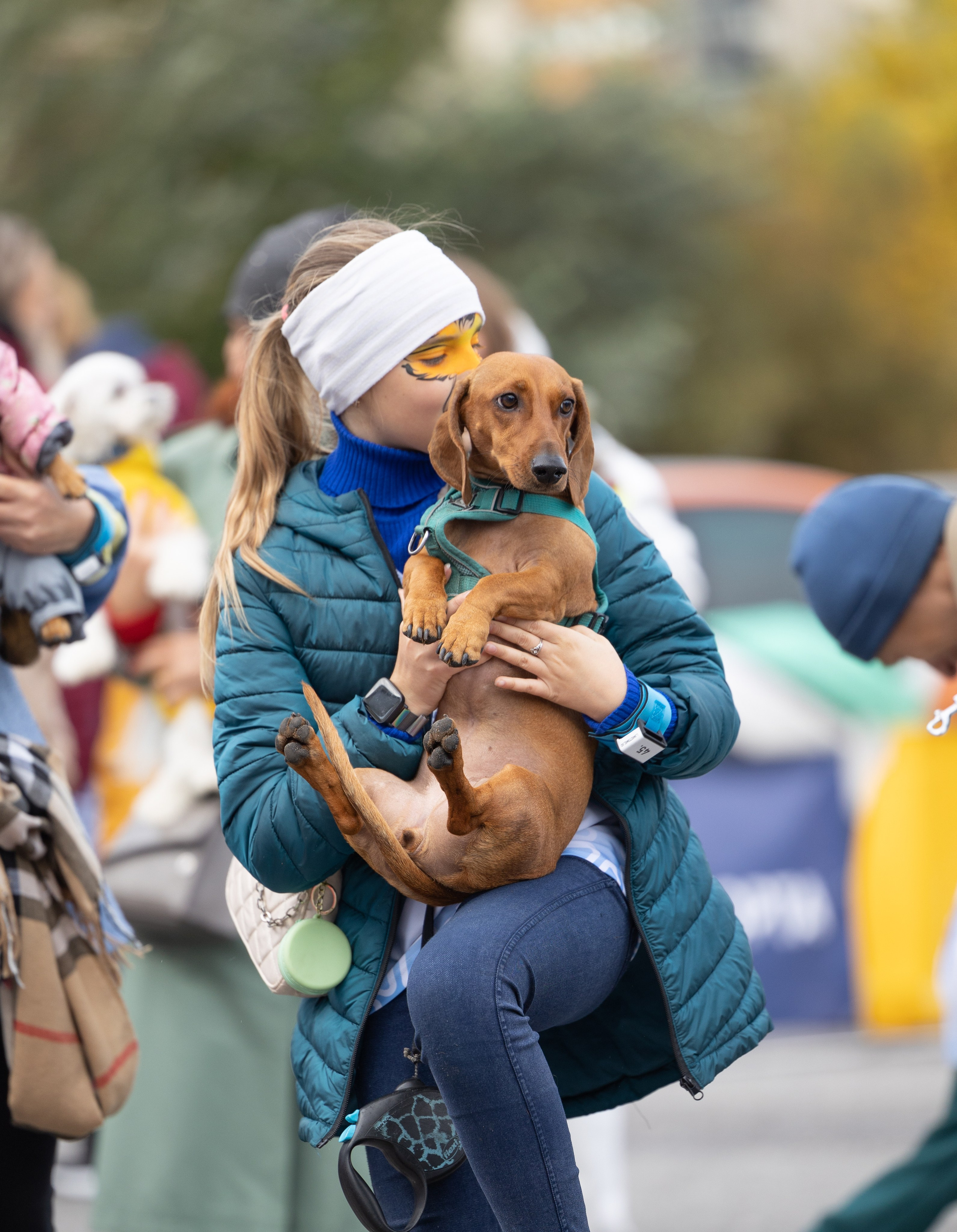 Кросс «Быстрый пёс», Балтийская Жемчужина. Главная