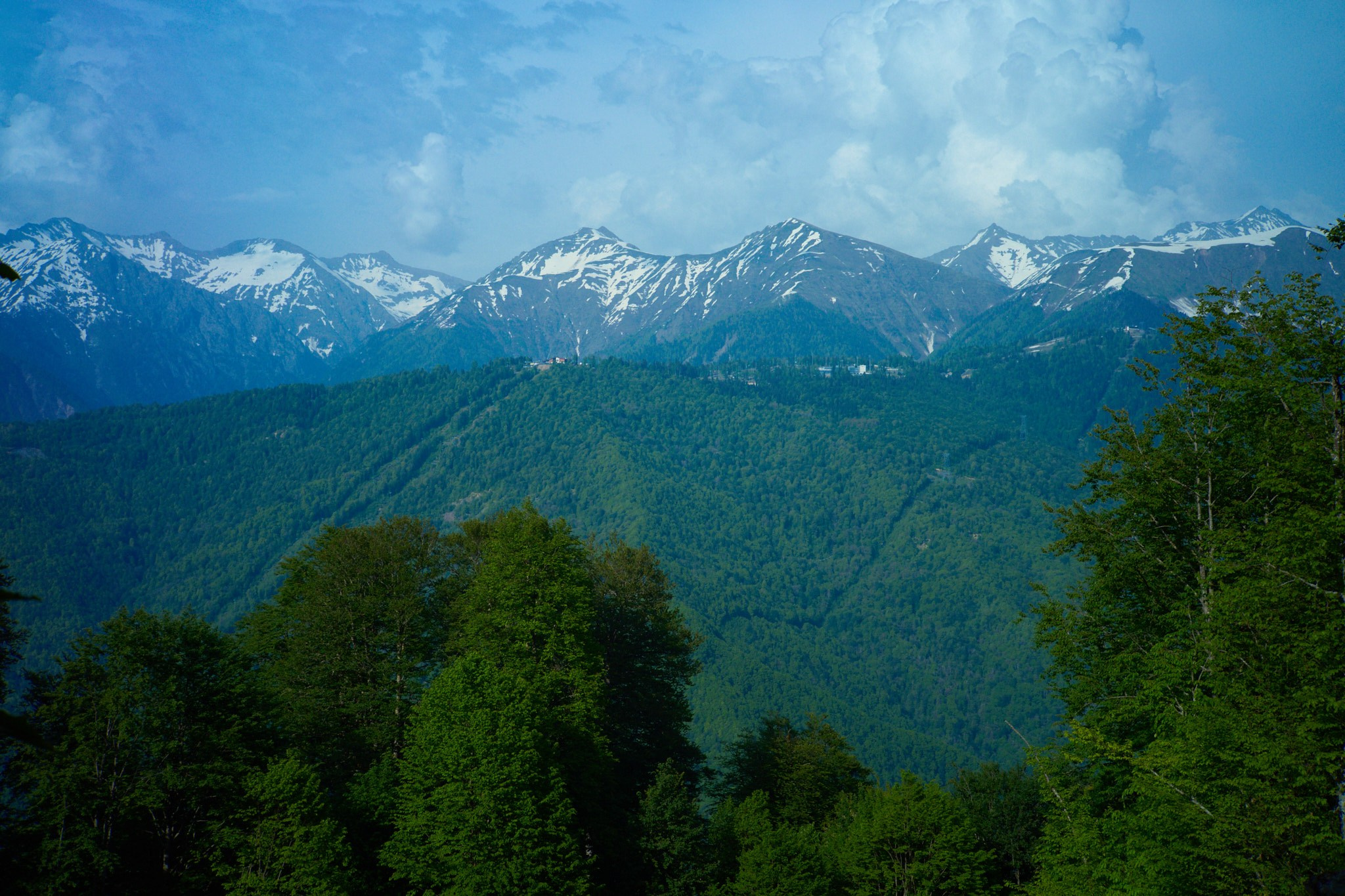 Красная Поляна, апрель 2024. Фотограф, Римма Невинская