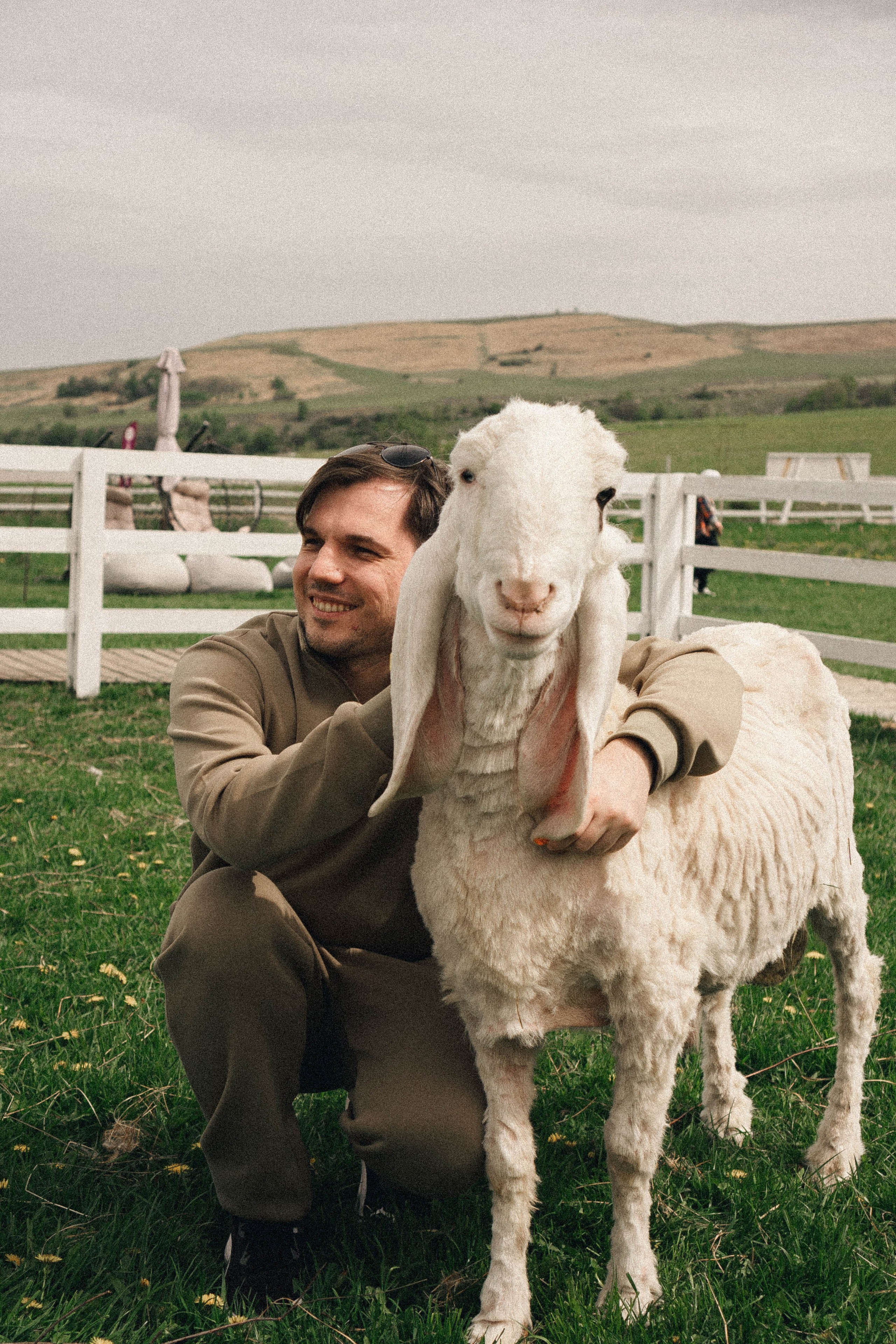 Ферма Альпак. Профессиональный фотограф, Санкт-Петербург — Виктория Богомолова