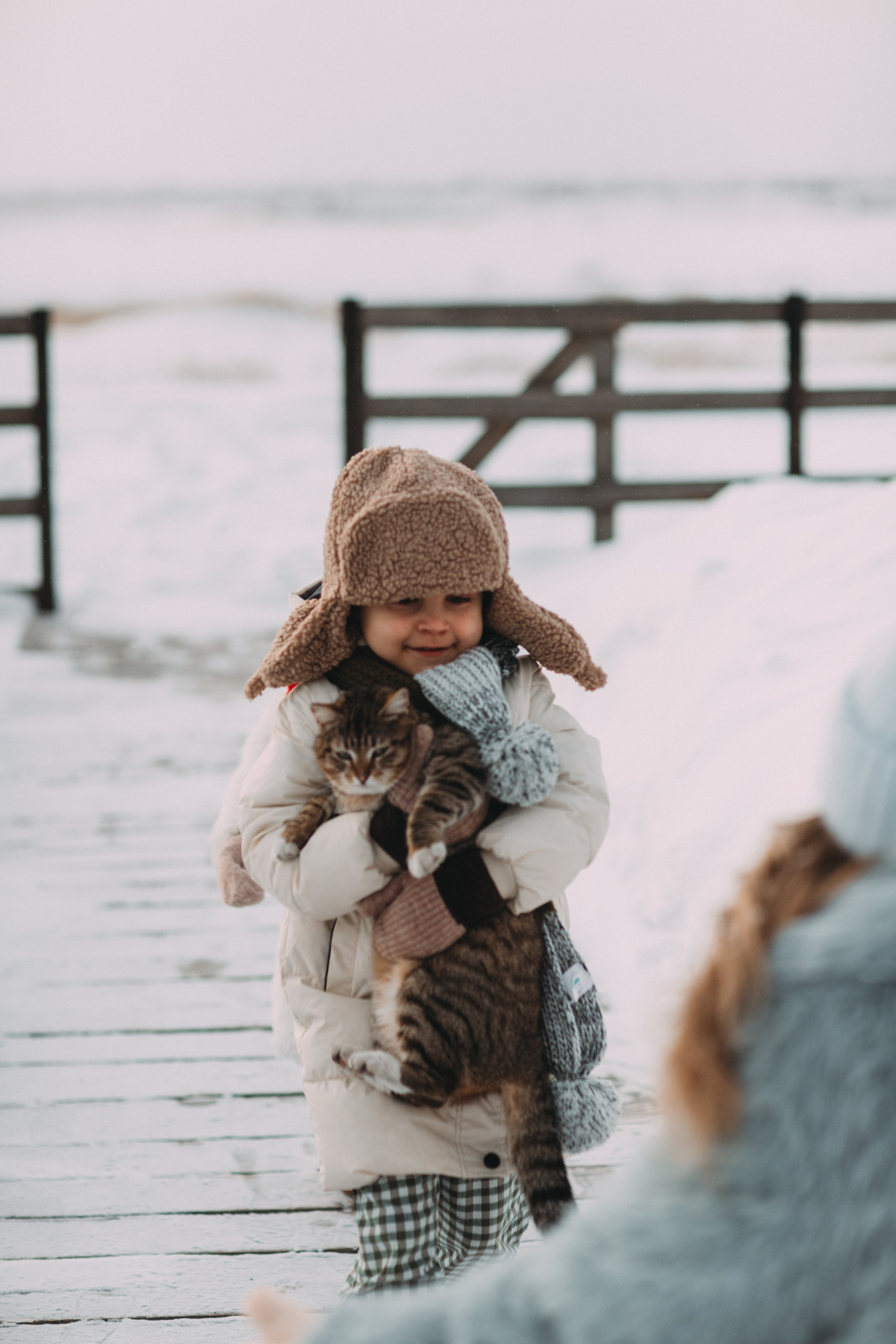 Треугольный домик. Главная