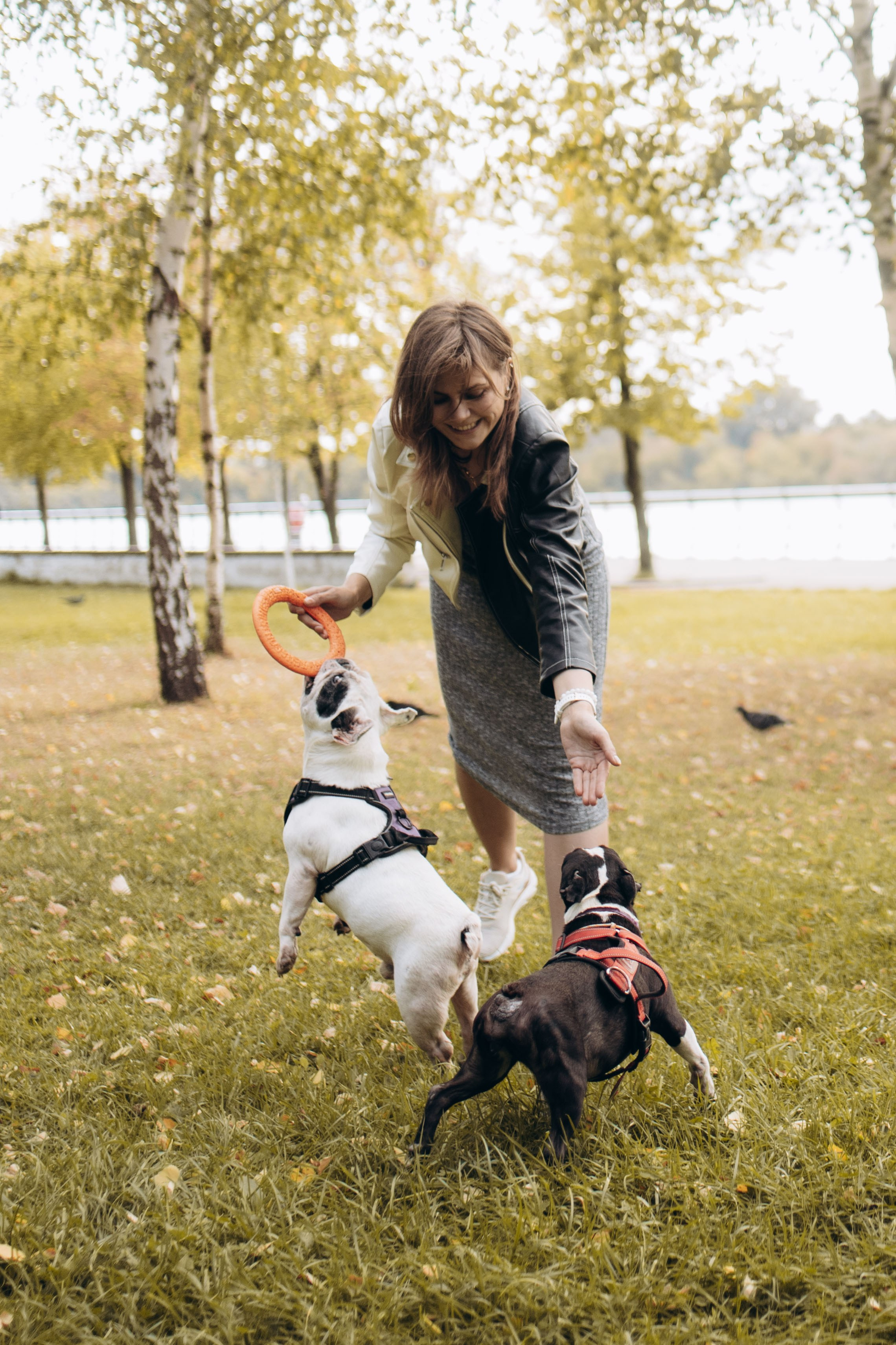 Оля и бульдоги