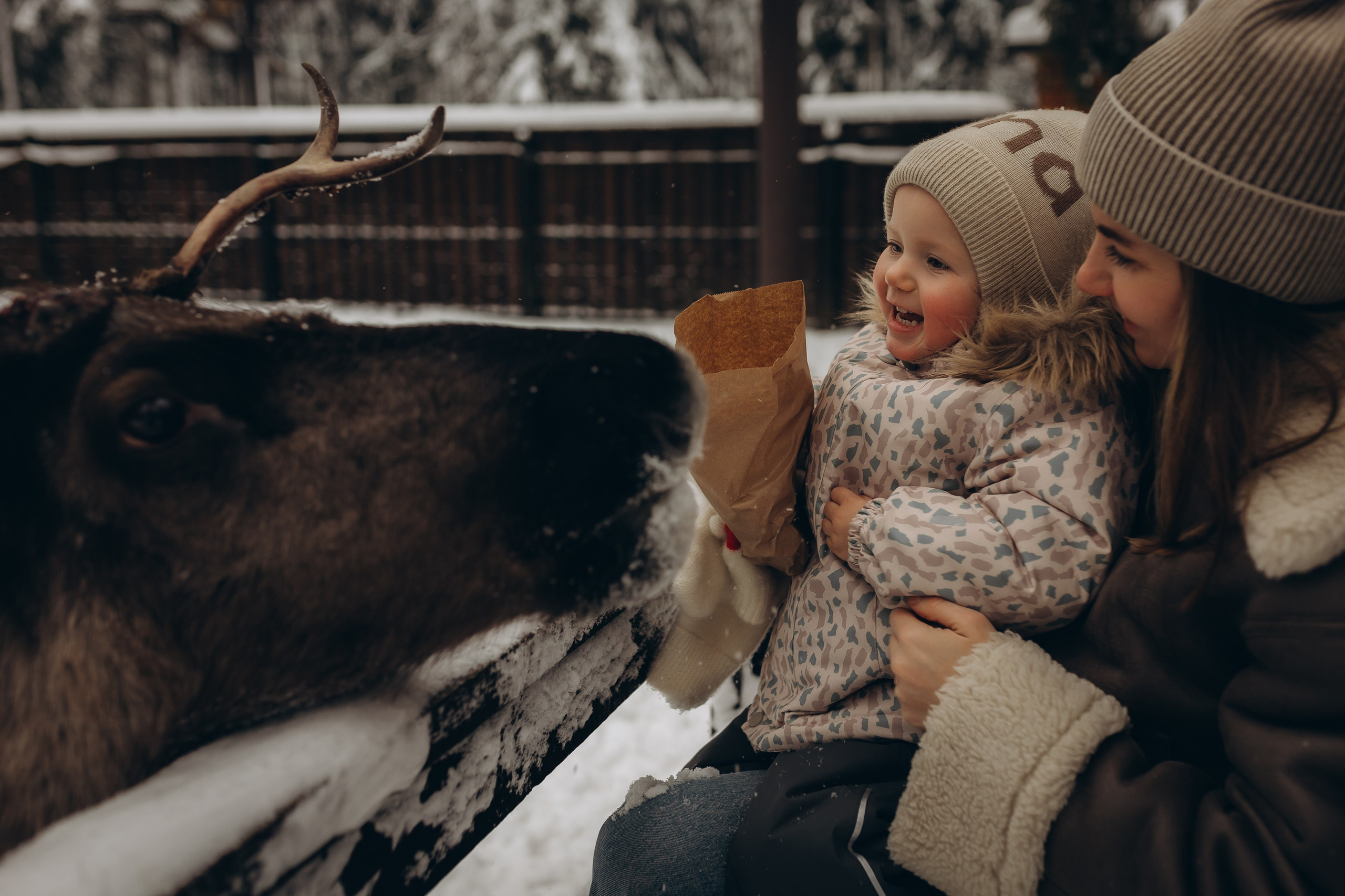 Зимняя сказка. Ph.nataluuna ФОТОГРАФ СЕРГИЕВ ПОСАД