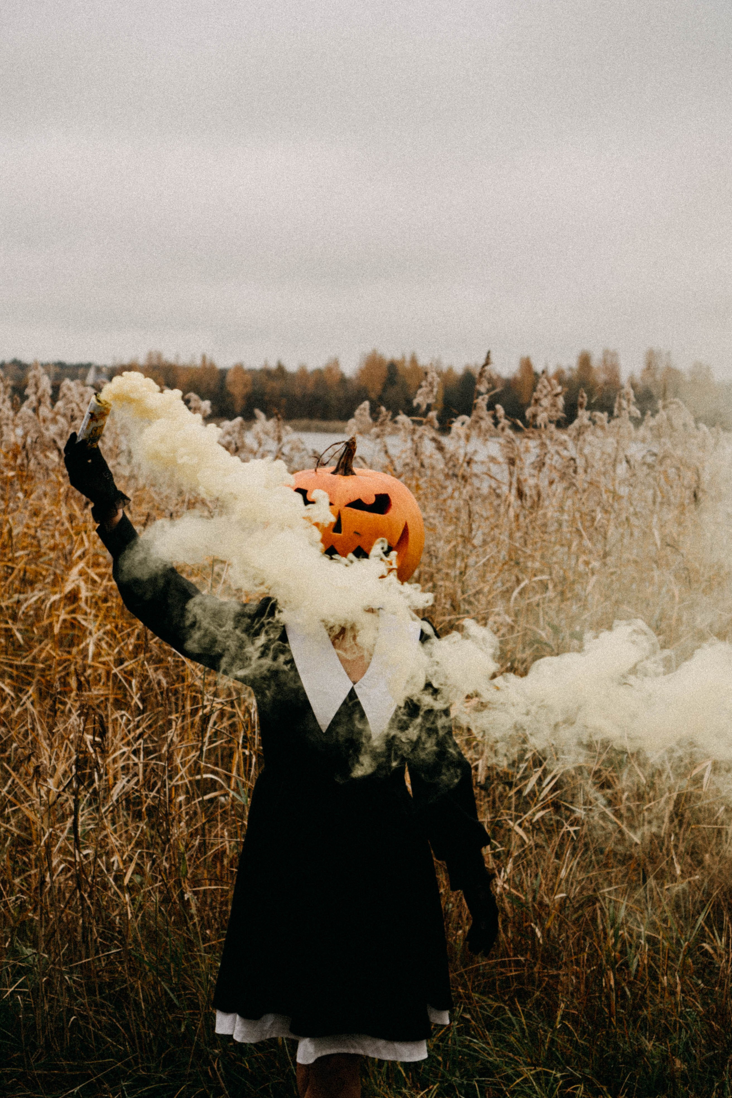 Осеняя. Профессиональный фотограф, Санкт-Петербург — Виктория Богомолова