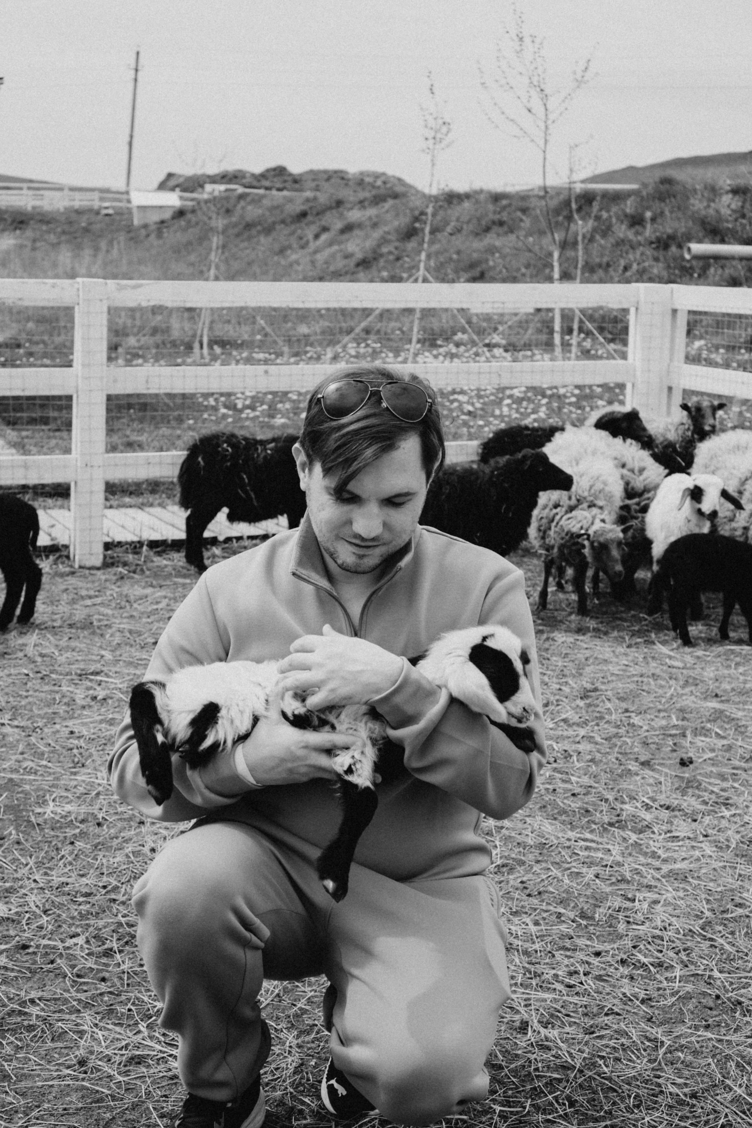 Ферма Альпак. Профессиональный фотограф, Санкт-Петербург — Виктория Богомолова