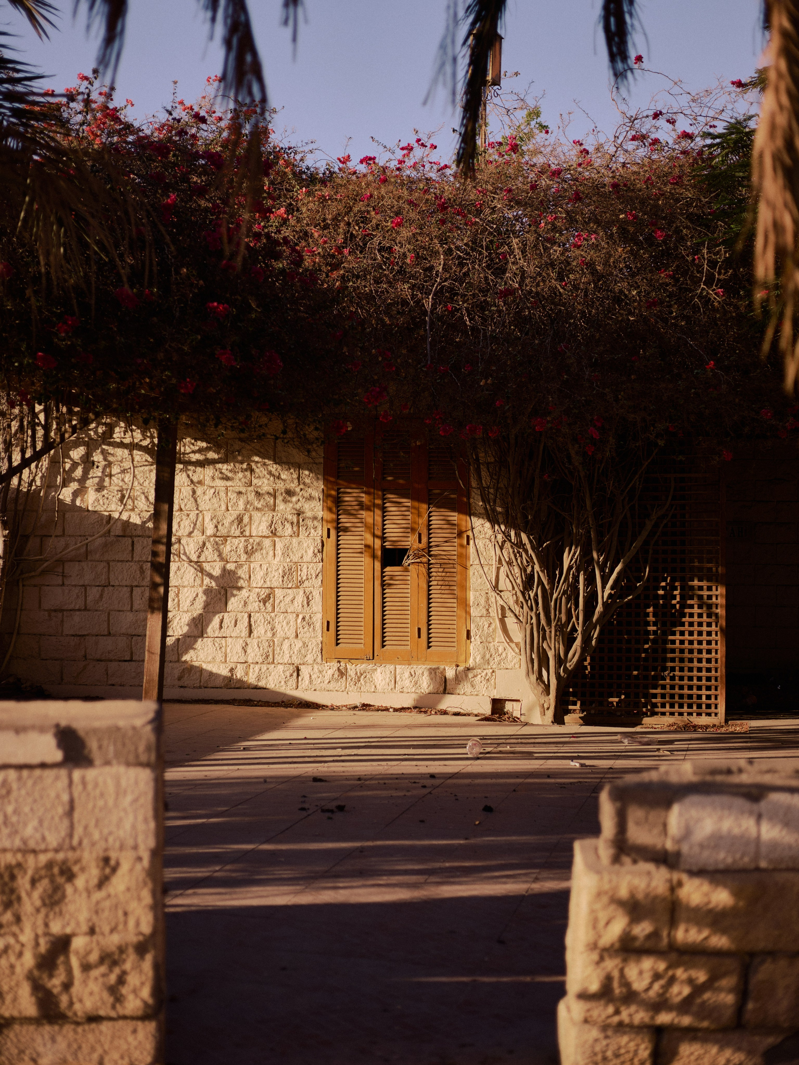 Другое 3. Jorgis Talè — photographer, kind person, teacher of arts and other mag