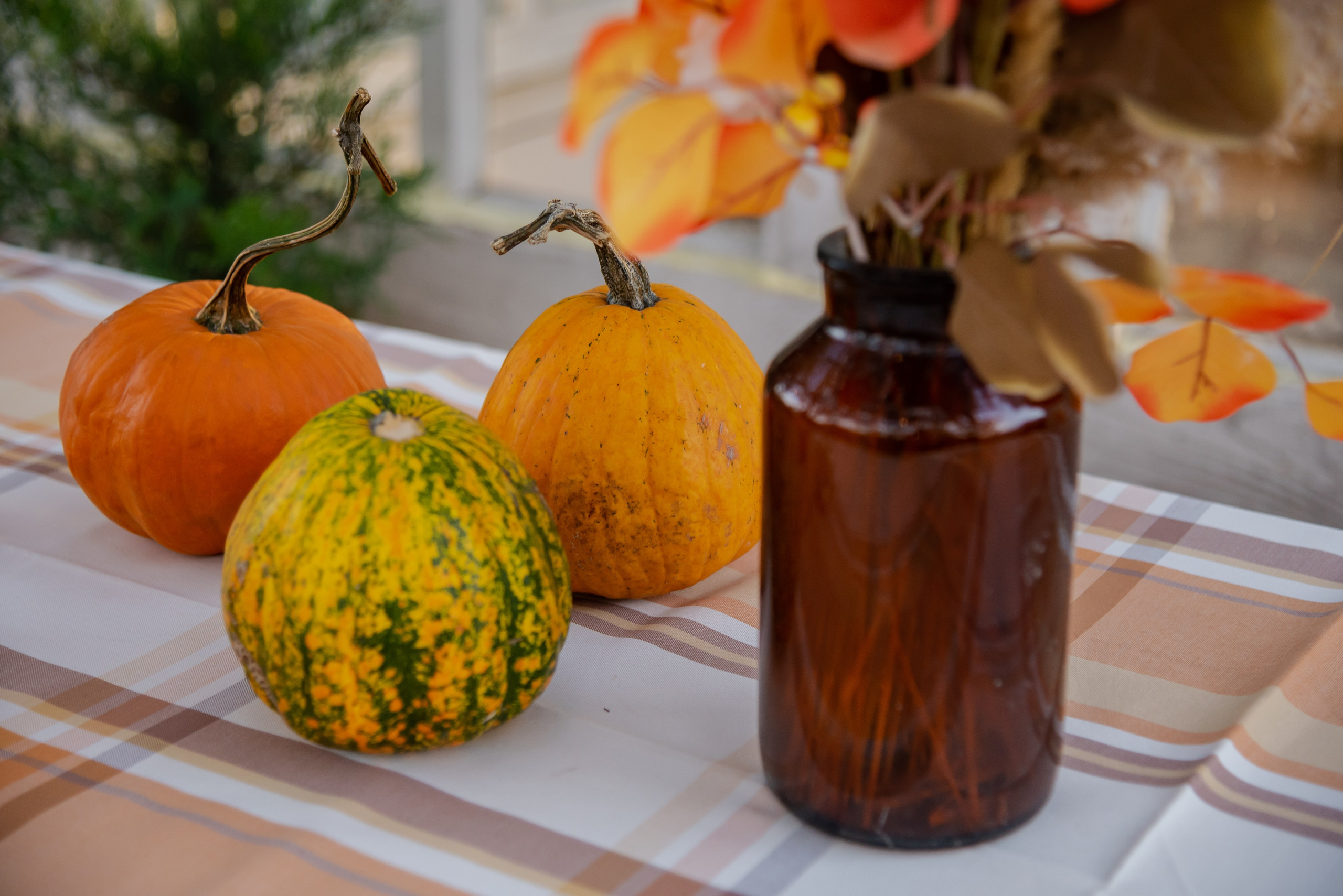 Аня. Фотограф Галина Нестерова