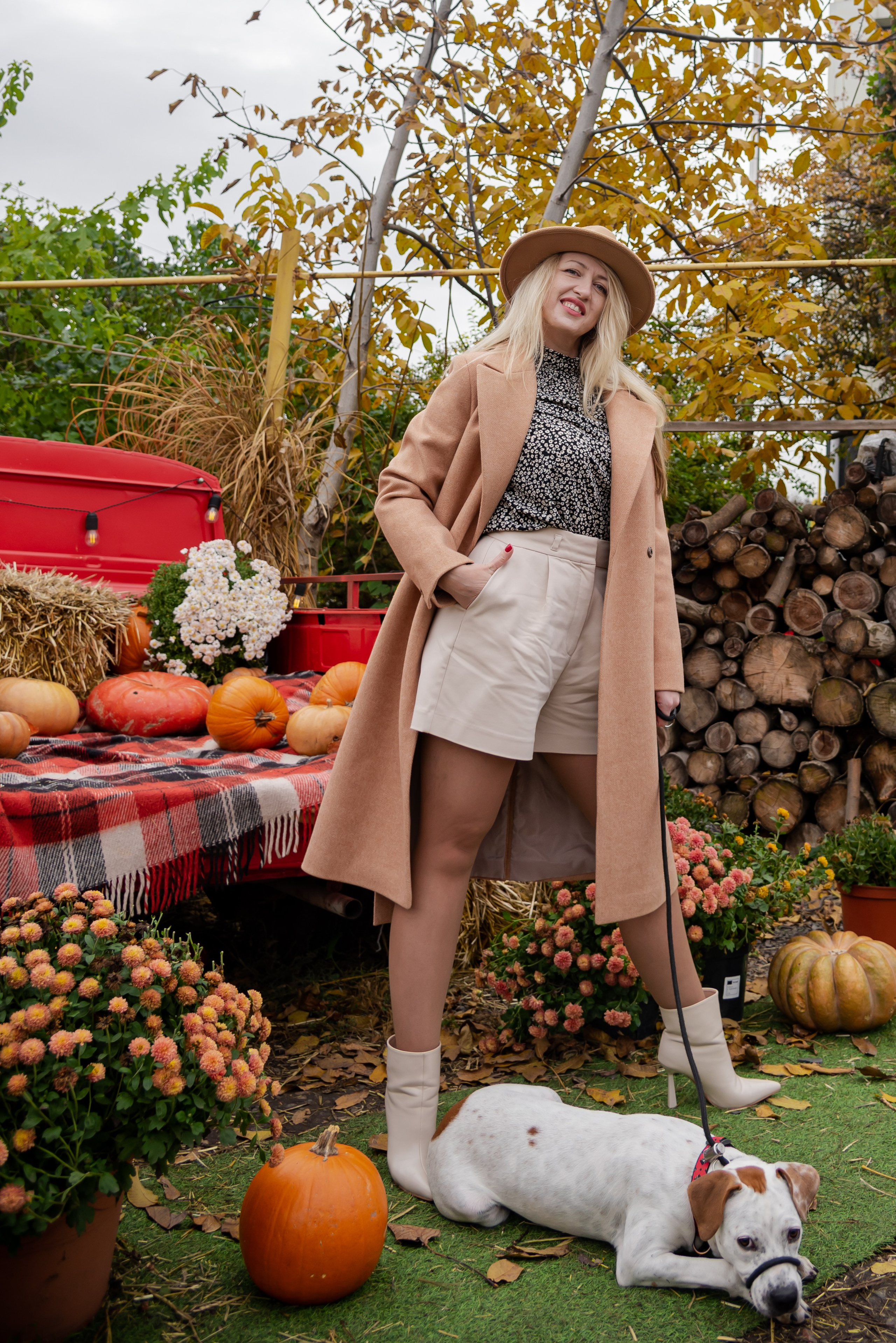 Авакадо. Фотограф Галина Нестерова