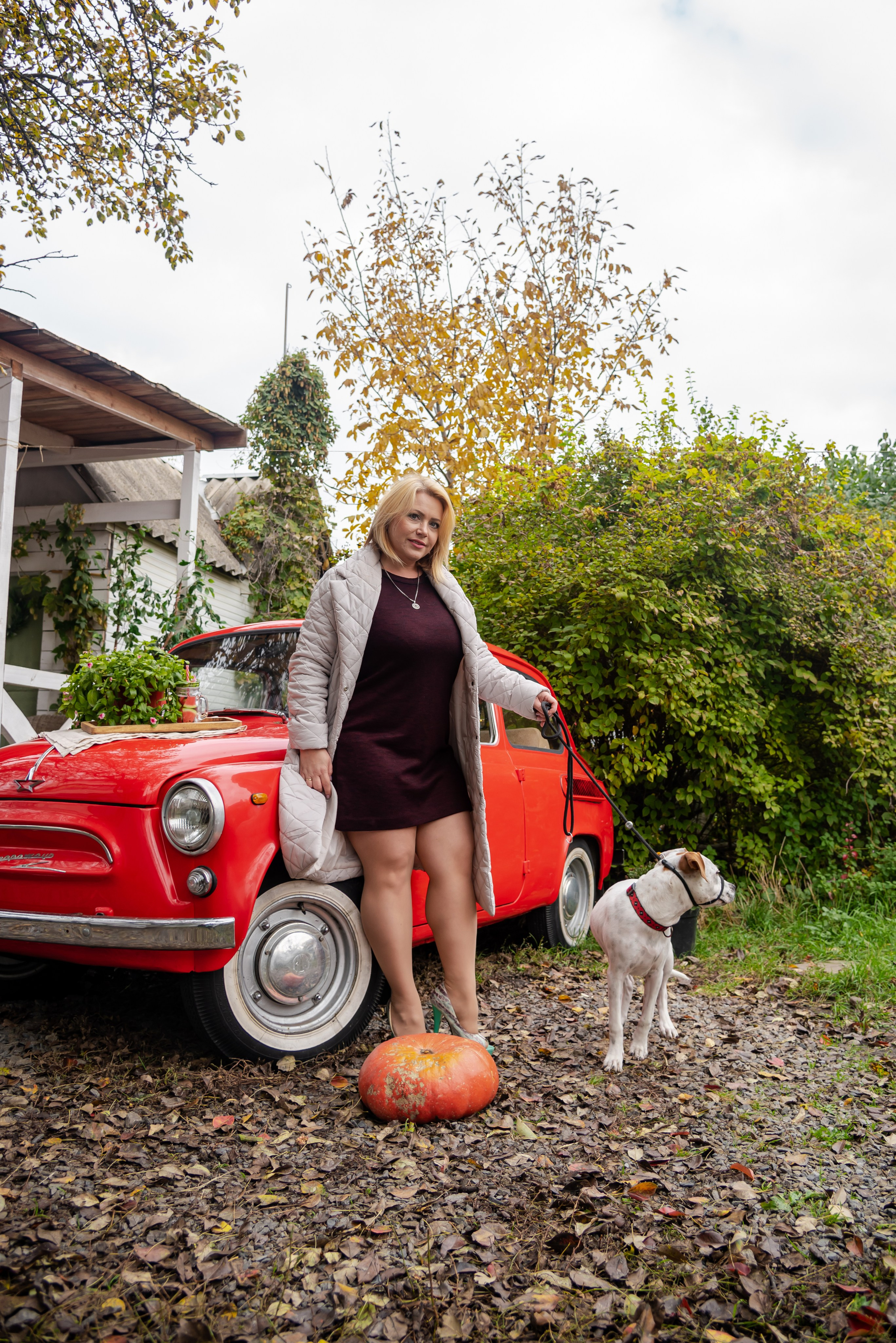 Авакадо. Фотограф Галина Нестерова