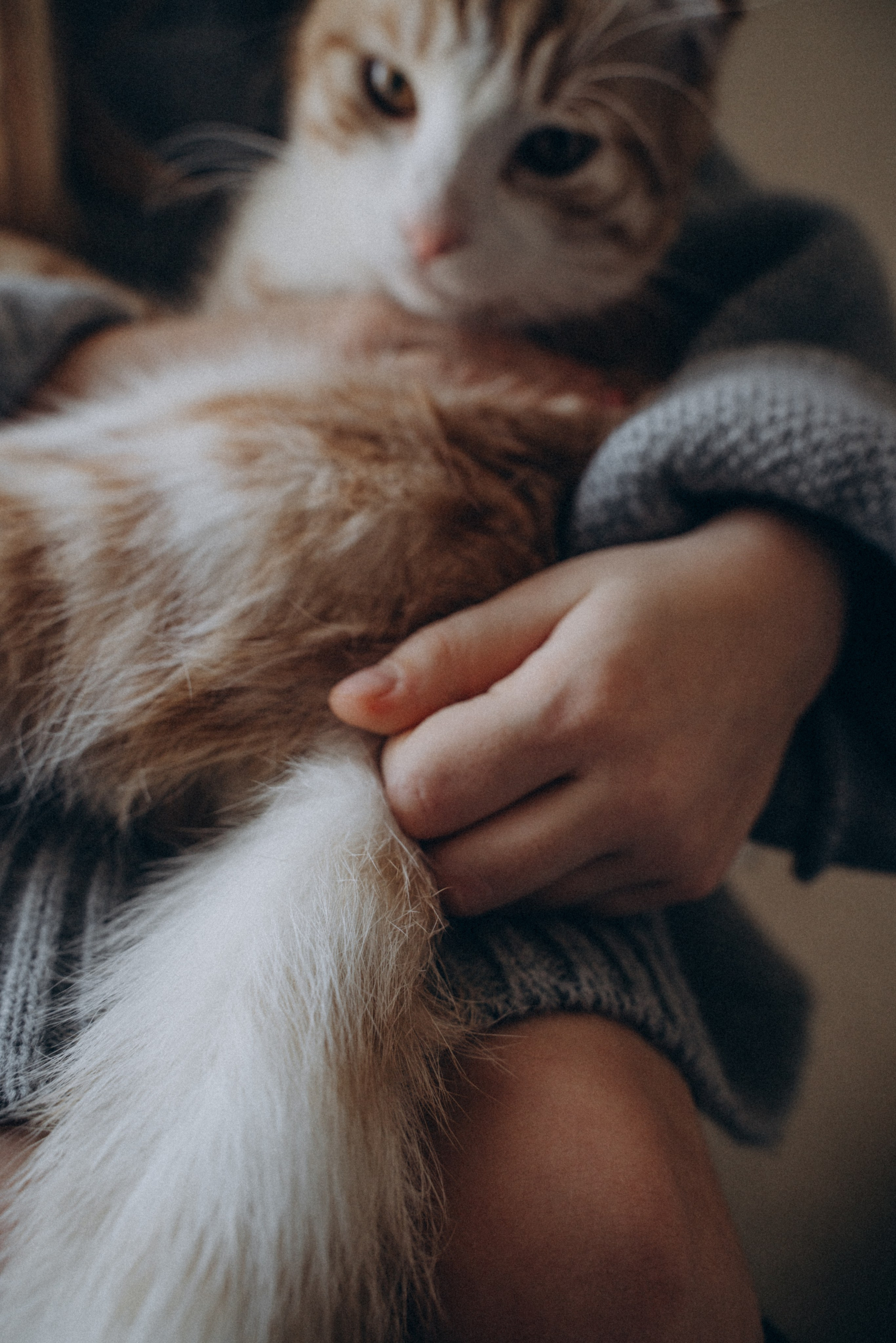 Сестры. FotoTanya. Раменское/Жуковский/Бронницы