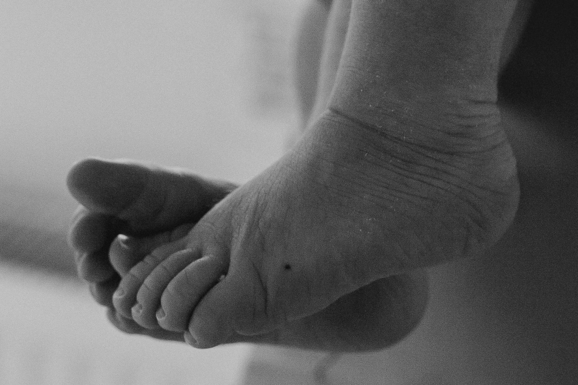 Маргарита с малышкой Викой. Репортажный фотограф в Тюмени Татьяна Мужева