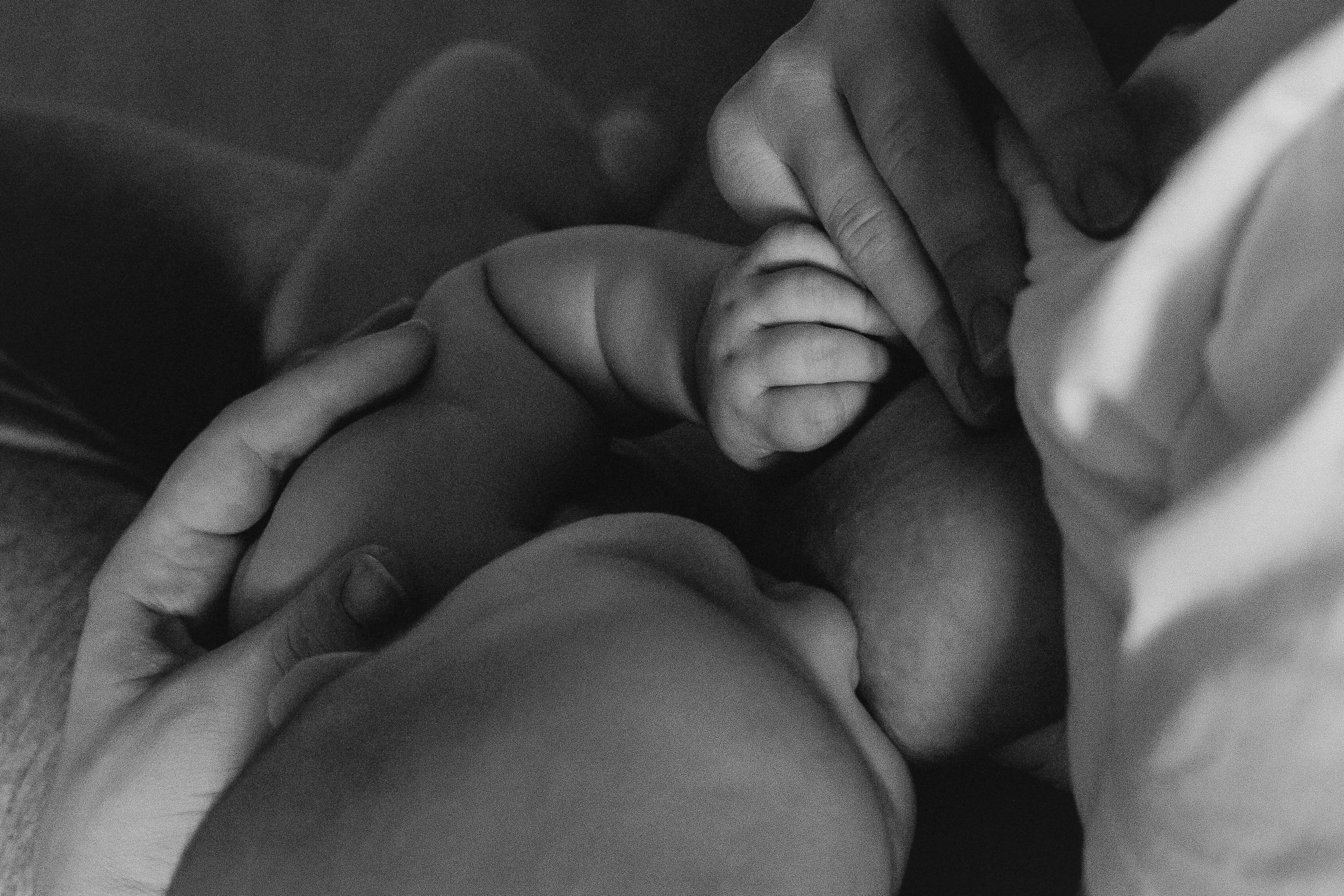 Светлана и Алексей с детьми. Репортажный фотограф в Тюмени Татьяна Мужева