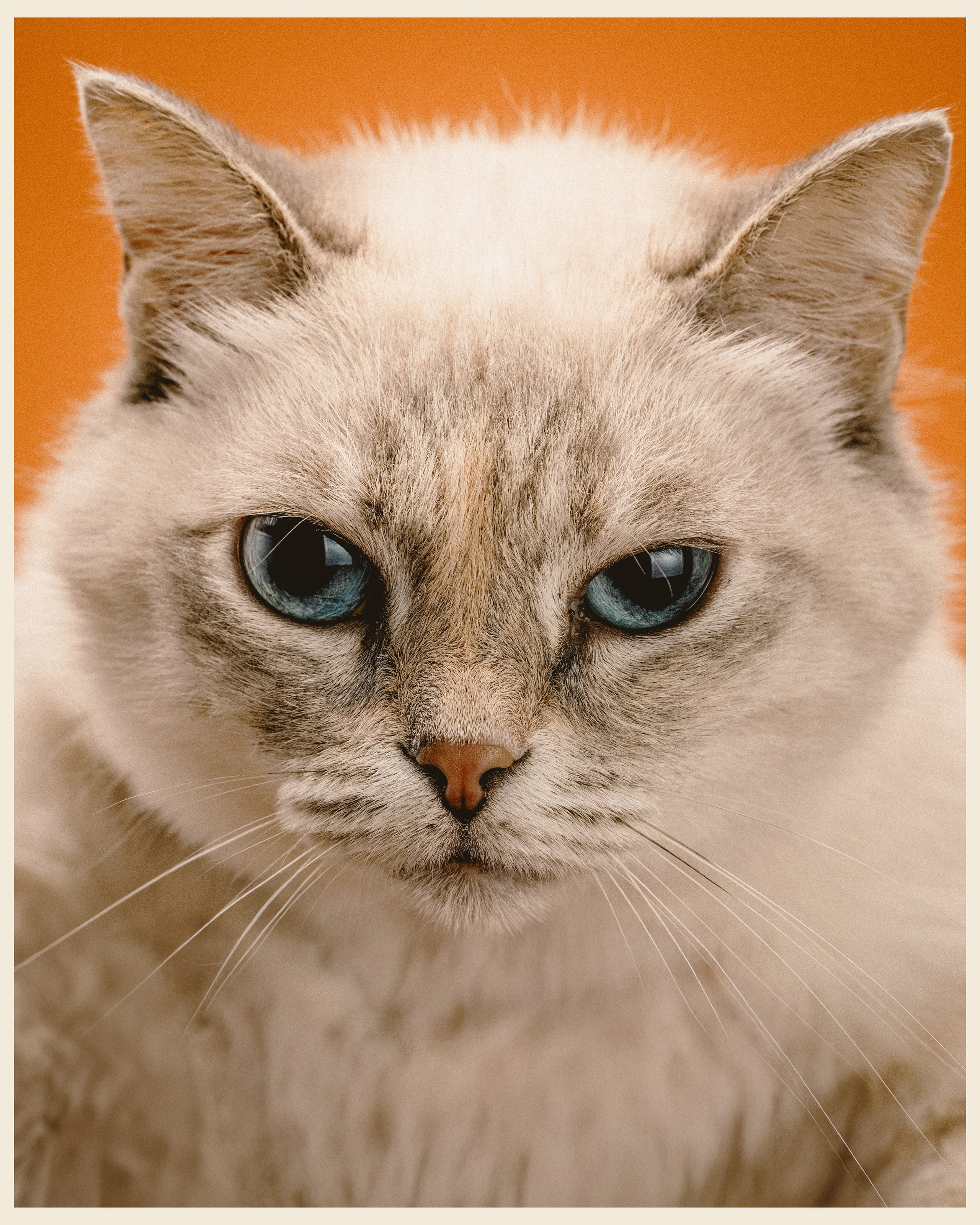 OM x VANO. Ivan Petrov photographer