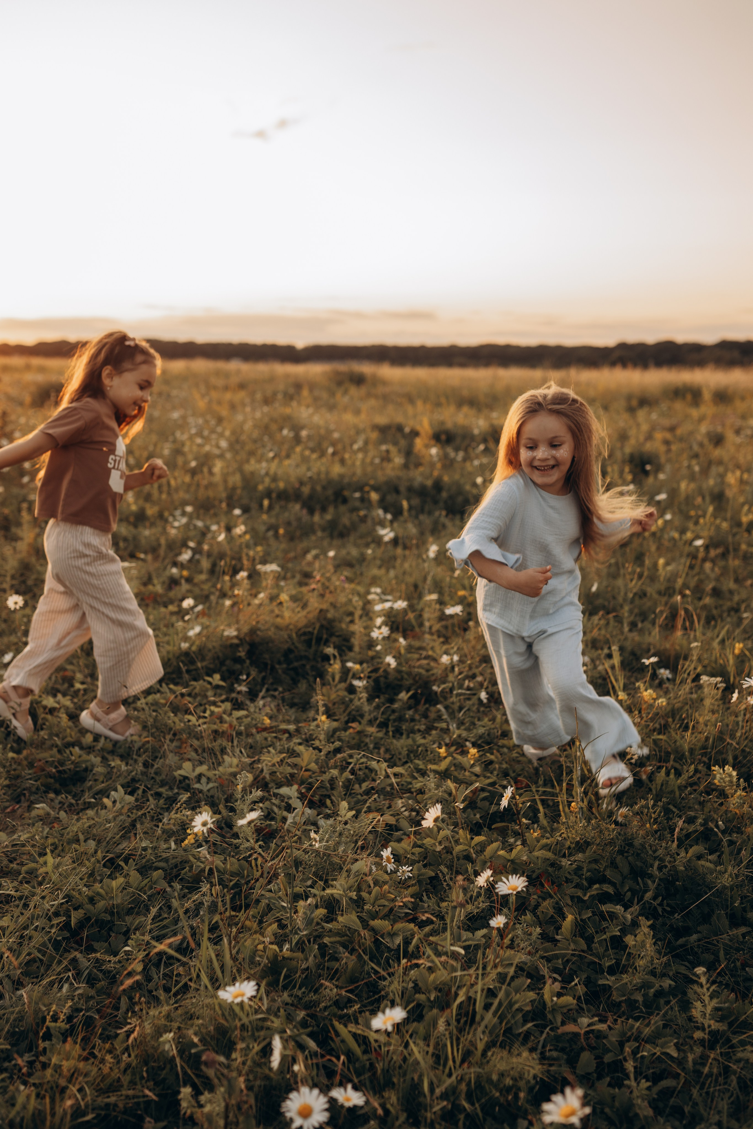 Закат на ромашковом поле. Фотограф в Ставрополе Svetlana Matveeva
