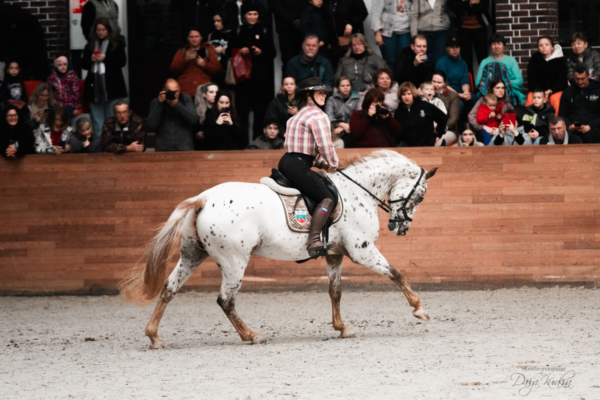 8-я международная выставка Конная Россия. Конный фотограф Куракина Дарья • Фотосессии с лошадьми