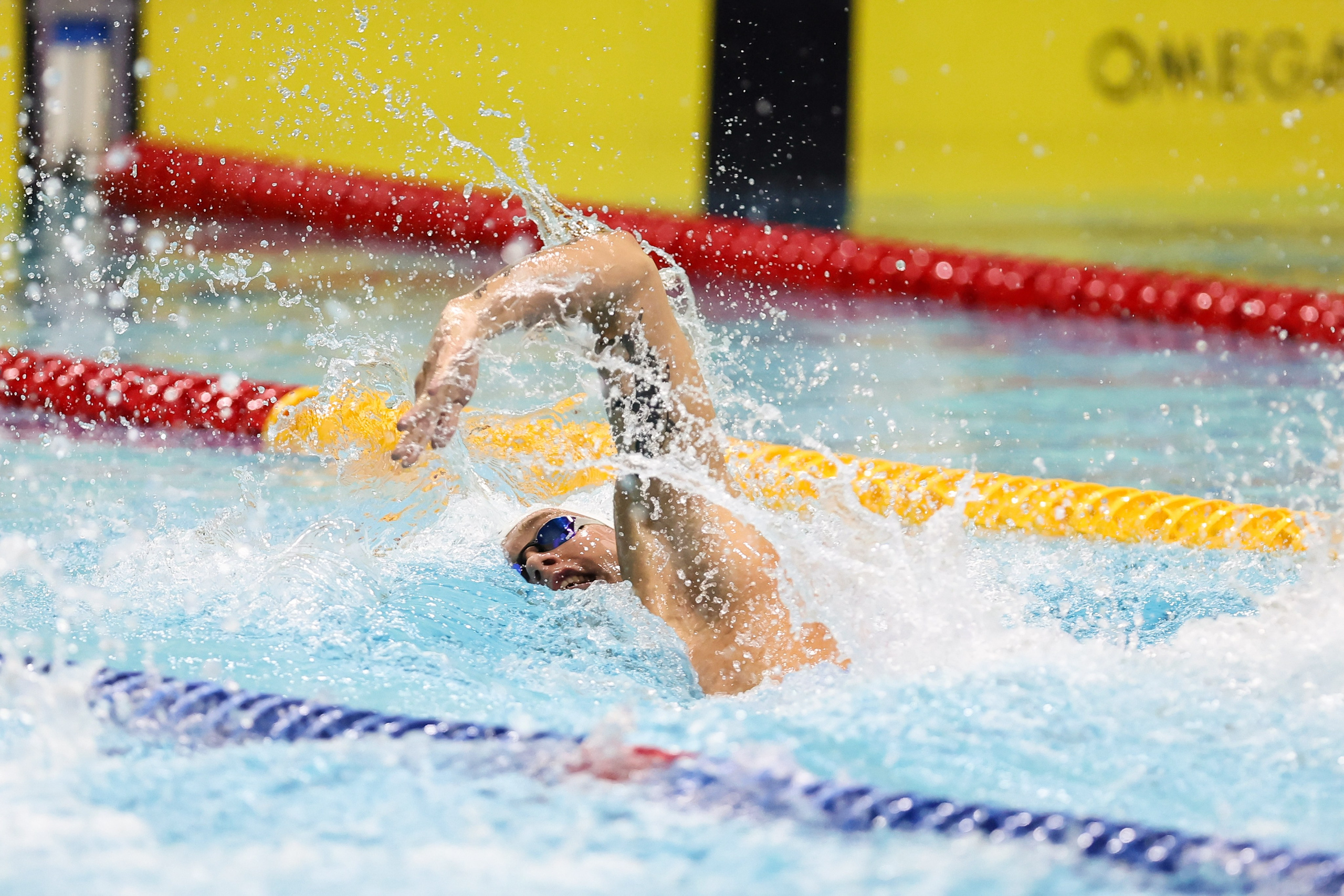 Чемпионат России по плаванию 25 м 20-25.11.2023. Спортивный и репортажный фотограф Антон Тереханов
