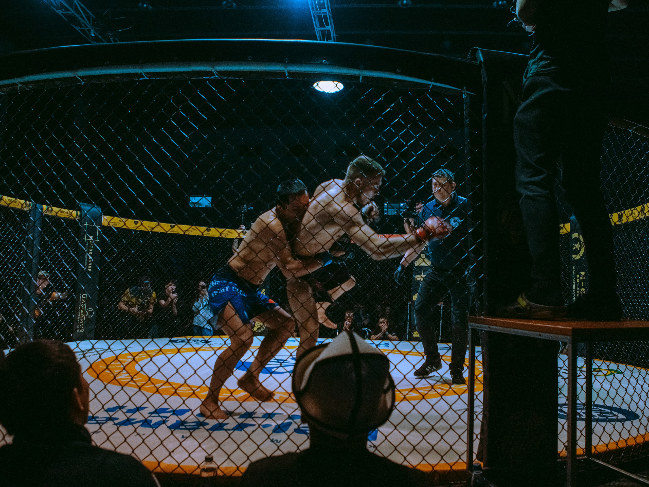 SFL 17 | Siberian Fighting League. Портретный фотограф в Москве Дарья Цезария