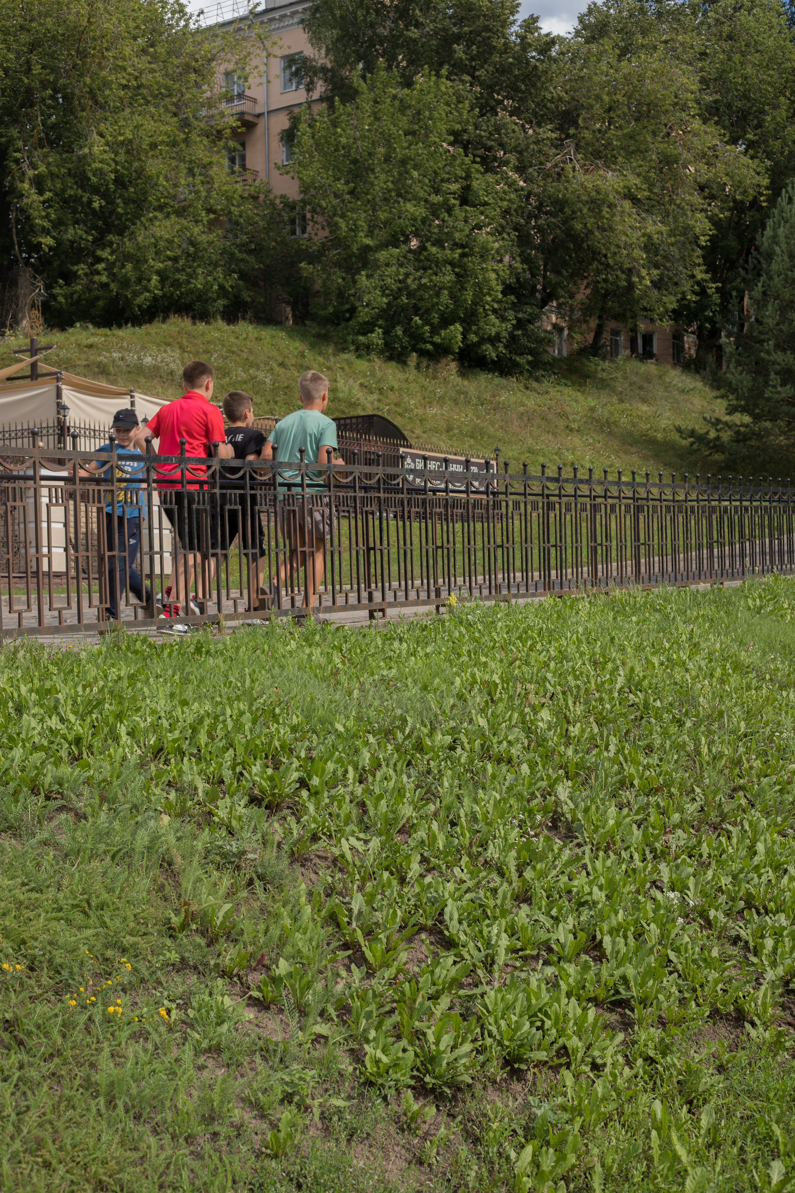 Спортивны сборы. Выпускные альбомы, индивидуальные фотосессии в Костроме