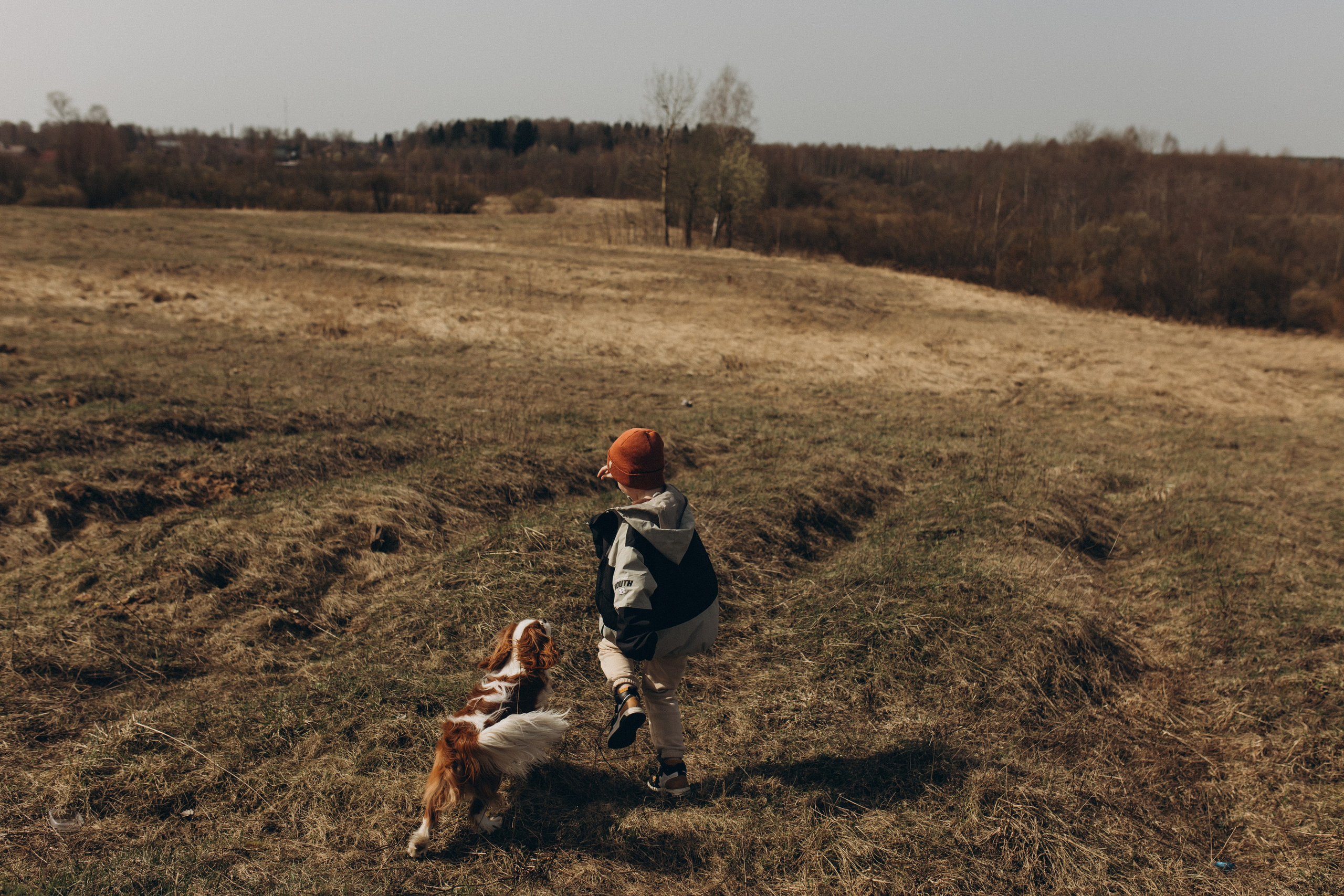 Николай, Елена, Тимофей и Арчи. Услуги